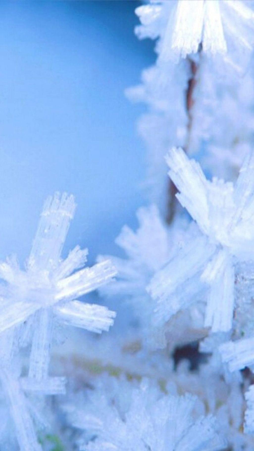 1026x1824 Winter Scene iPhone Wallpaper Winter Christmas Scene