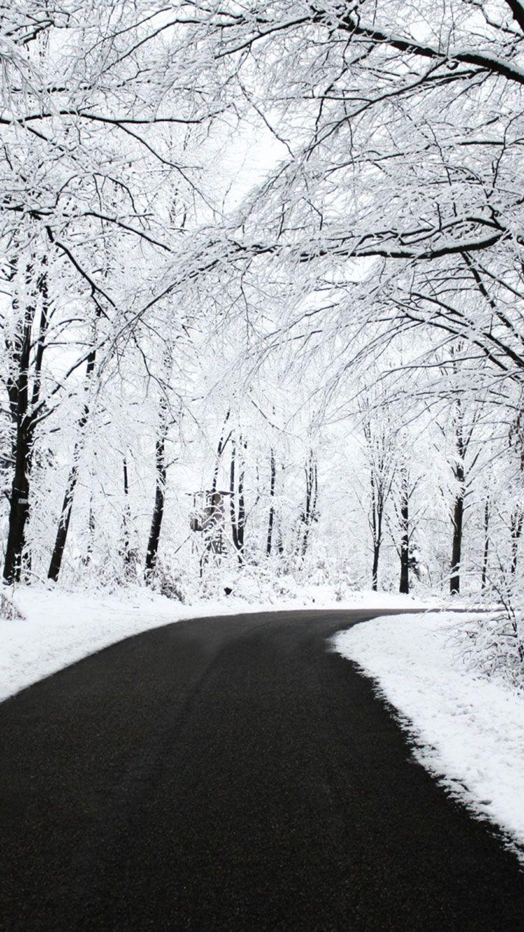 750x1334 Winter Phone Background