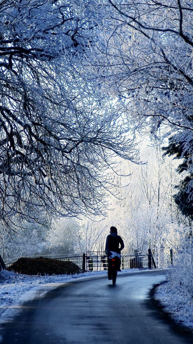 750x1334 Winter Road Scene iPhone 6 Wallpaper iPhone 6 Wallpaper HD