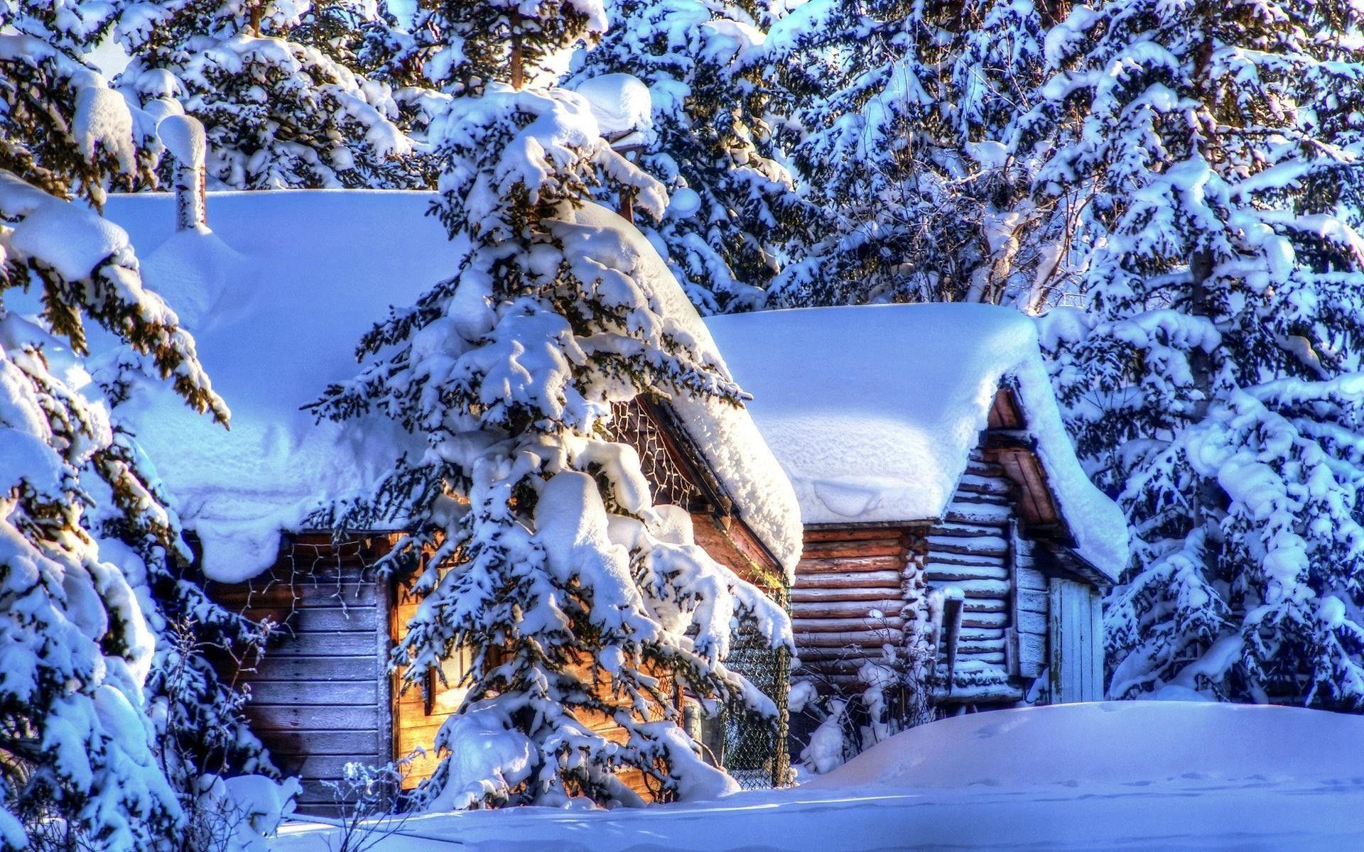 1920x1200 23++ Winter Scenery iPhone Wallpaper HD