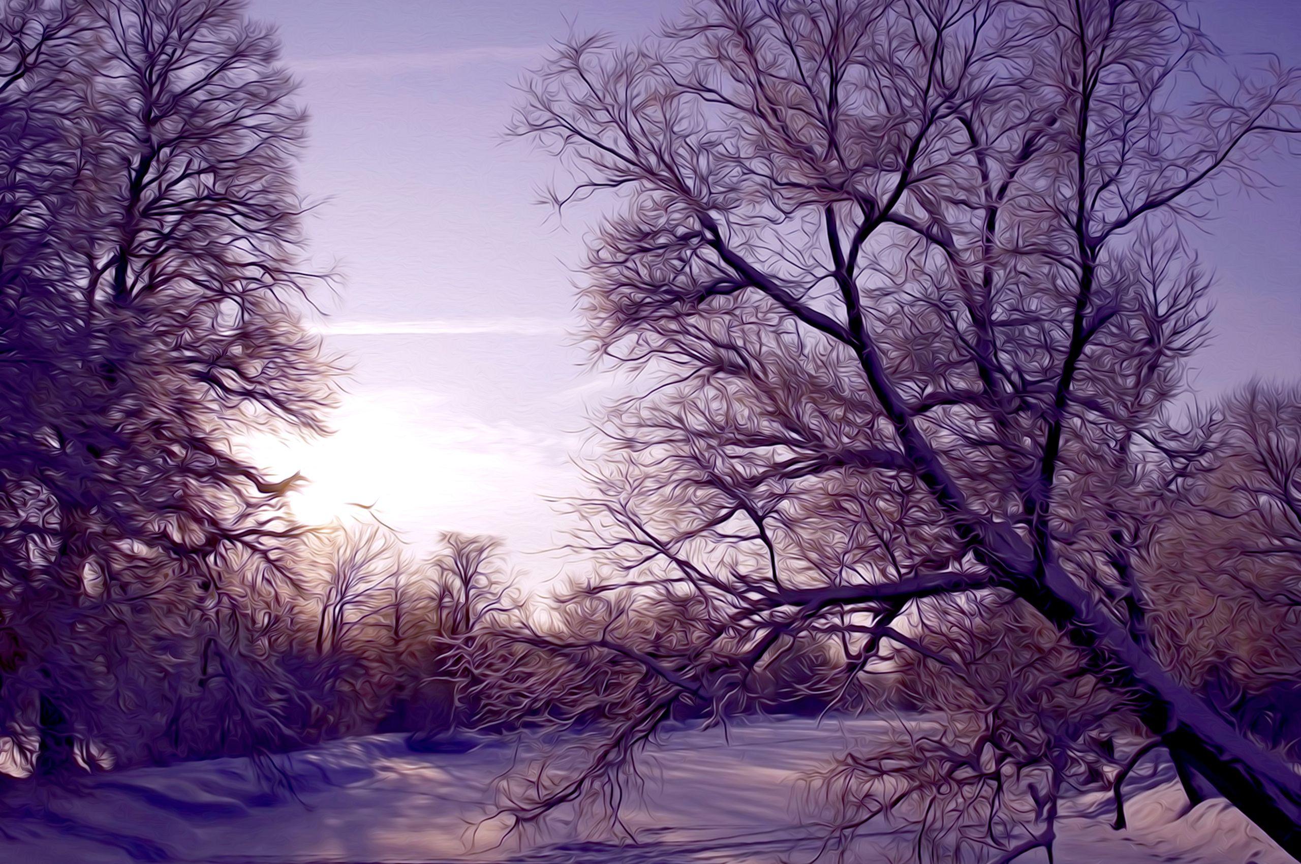 2560x1700 Free download Christmas Snow Scene Wallpaper iPhone Wallpaper [2560x1920] for your Desktop, Mobile & Tablet. Explore Winter Scenes Wallpaper for iPhone. Free Winter Scene Wallpaper, Snow Scene Wallpaper for