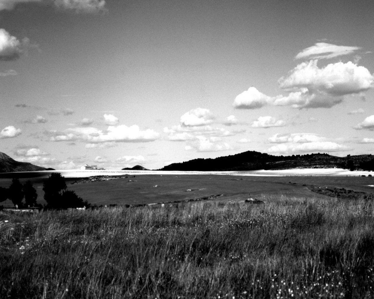1280x1024 Free download Black And White Nature Wallpaper [1920x1080] for your Desktop, Mobile & Tablet. Explore Black And White Nature Wallpaper. Cool Black And White Wallpaper, Vintage Black and White