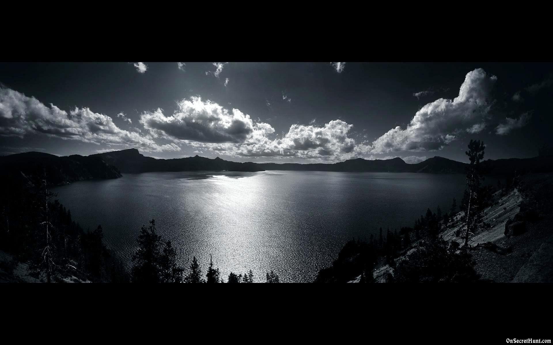 1920x1200 Black and White Nature. On Secret Hunt. Nature wallpaper, HD nature wallpaper, Computer wallpaper desktop wallpaper