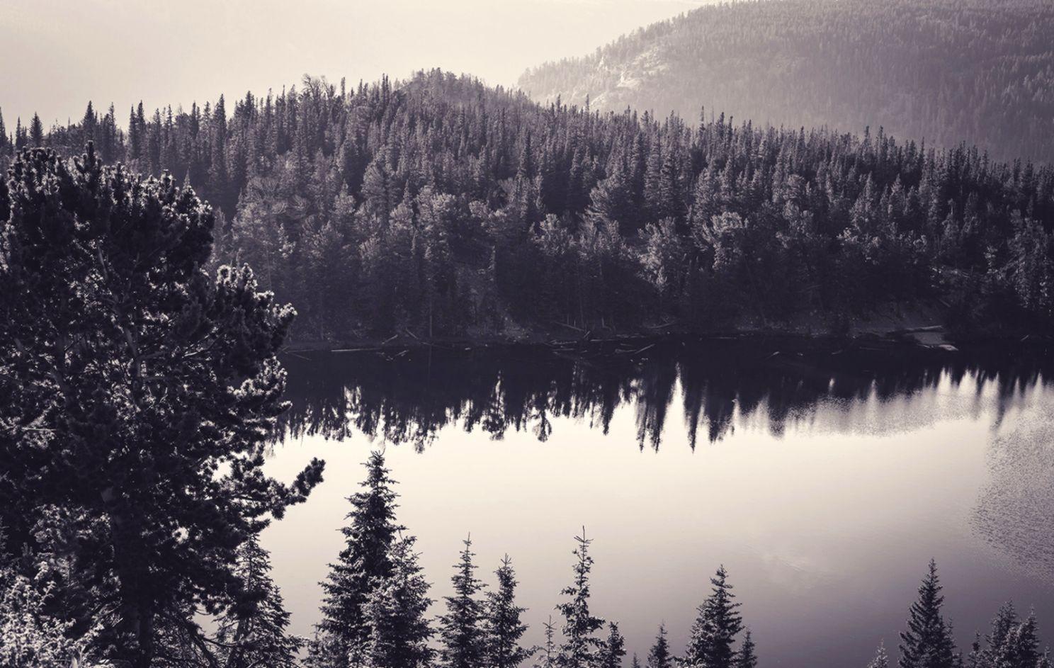 1488x943 Black And White Nature Wallpaper