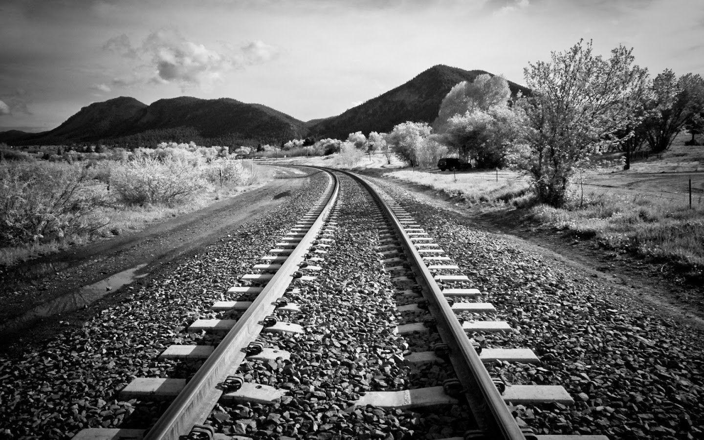 1440x900 Free download Best Wallpaper Photography Black And White black and white nature [1600x900] for your Desktop, Mobile & Tablet. Explore Desktop Wallpaper Black and White. White Background Wallpaper, Dark