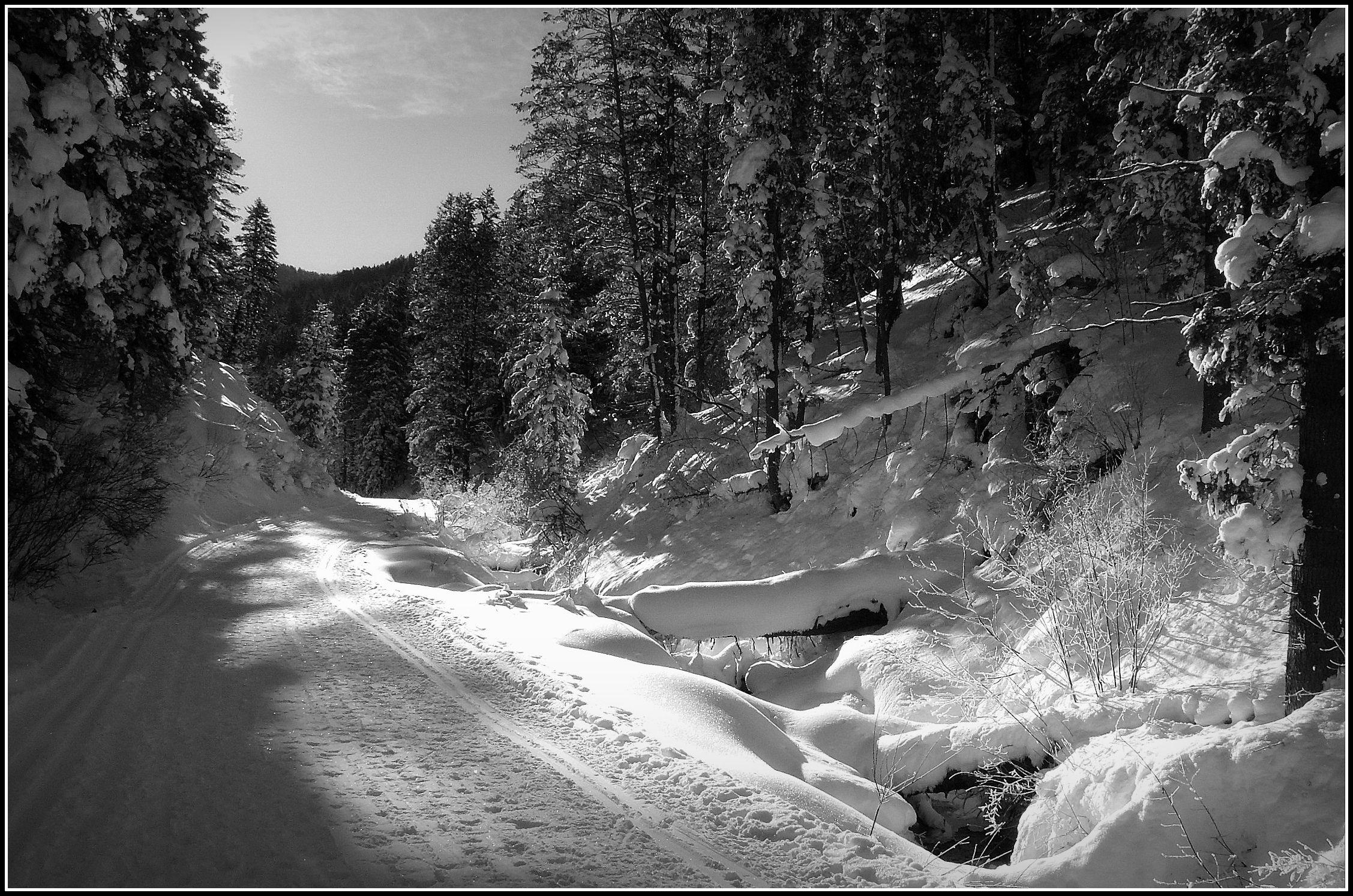 2255x1495 Black and White Nature Desktops .