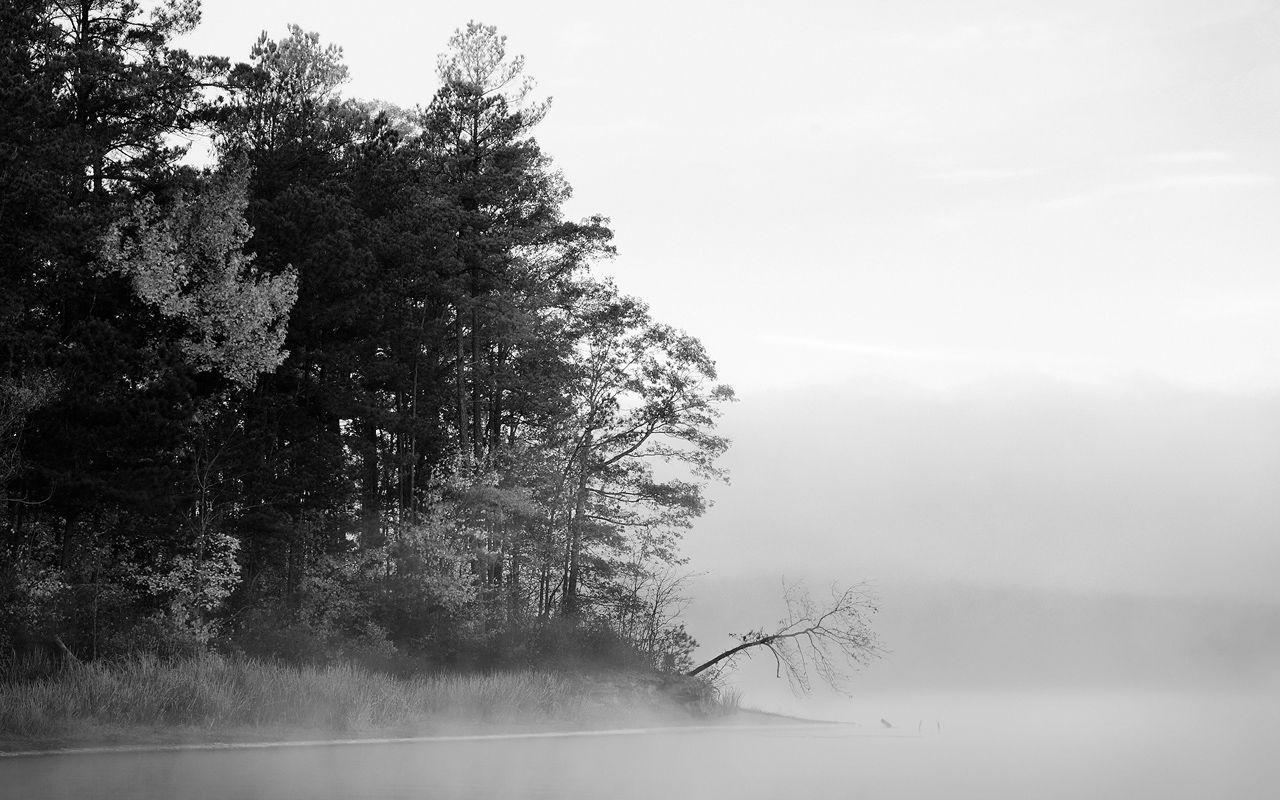 1280x800 Free Black And White Wallpaper