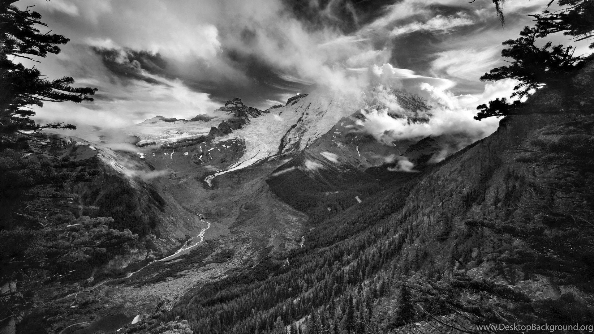 1920x1080 Black And White Nature Wallpaper High Quality Resolution Desktop Background