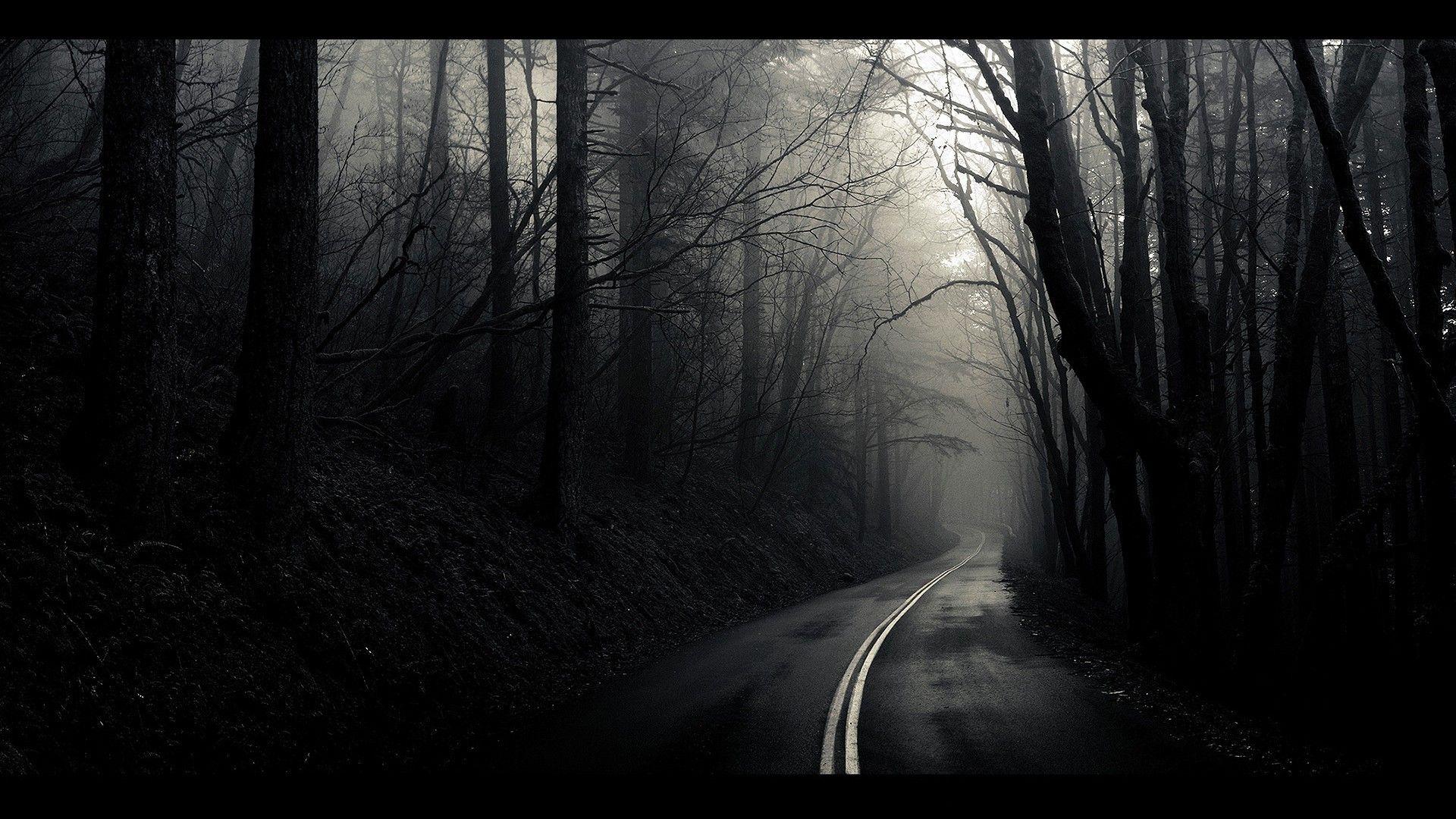 1920x1080 Beautiful White Nature Wallpaper