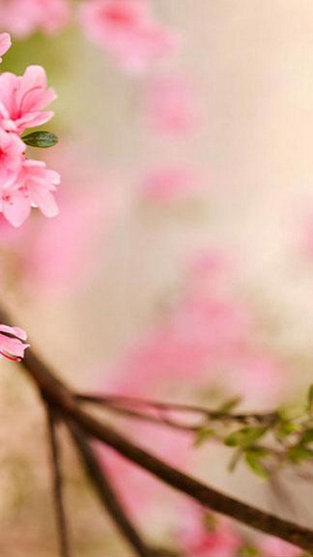 1080x1920 Pink Spring Flowers Wallpaper