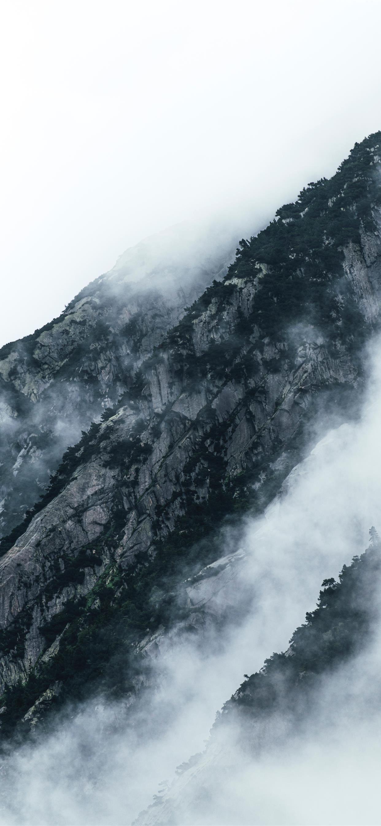 1242x2688 grayscale photo of mountain iPhone X Wallpaper Free Download