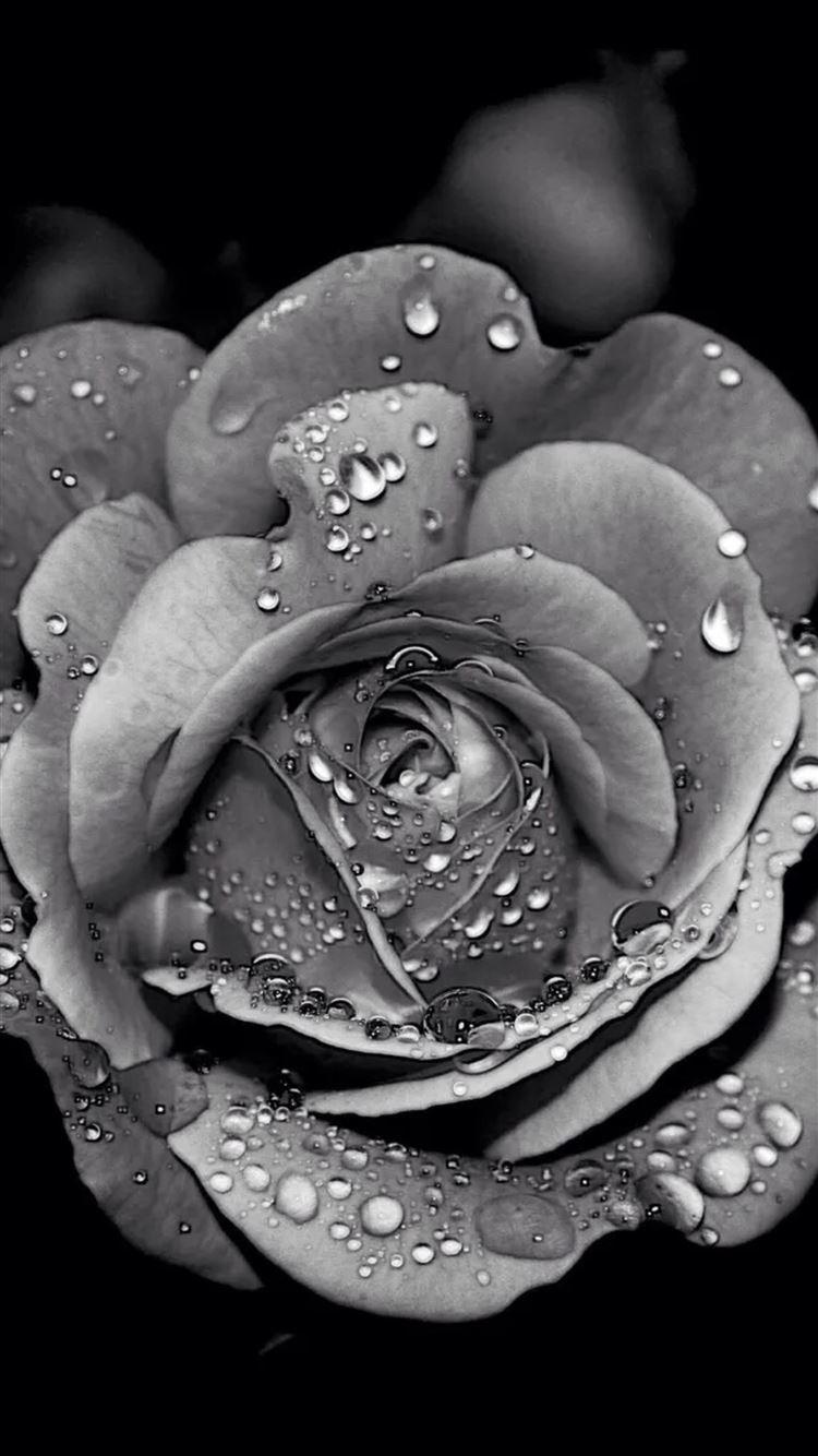 750x1334 Black And White Wallpaper HD For iPhone 7