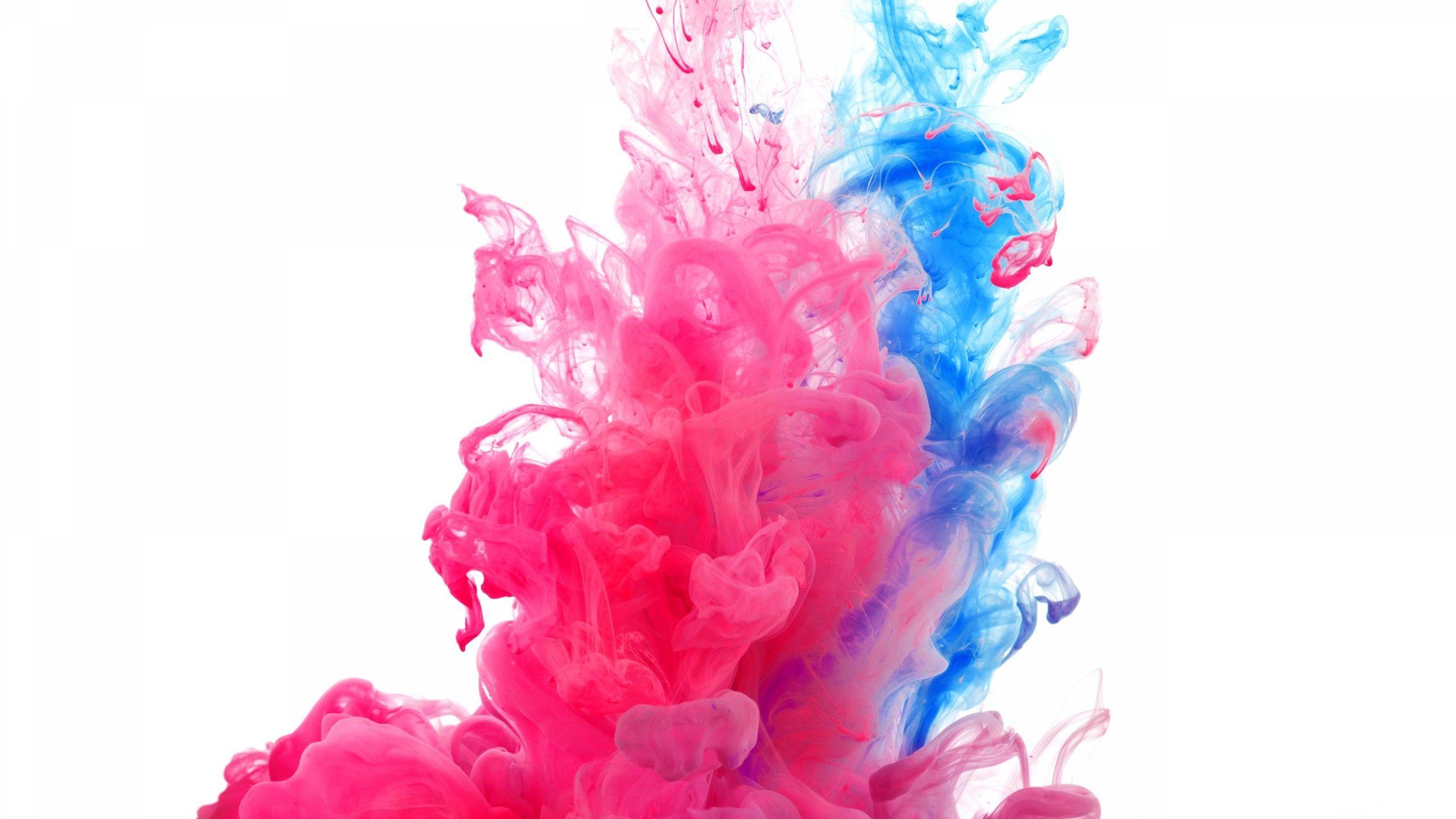 2560x1440 4K Holi Wallpaper