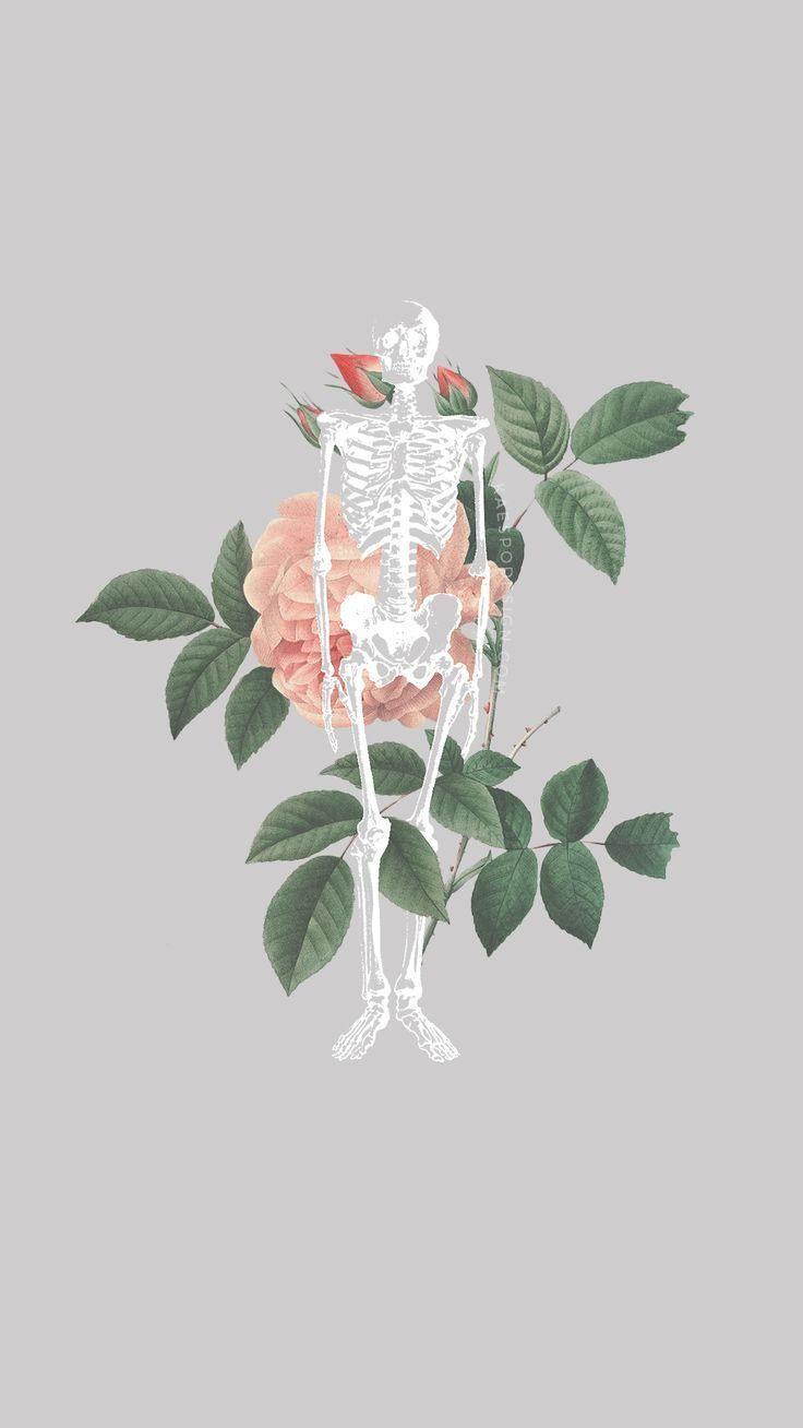 736x1308 Medicine Aesthetic Wallpaper
