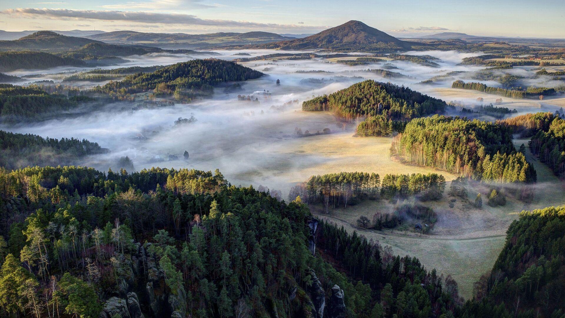 1920x1080 Forests Czech Republic Parks Bohemian Switzerland Laptop Full HD 1080P HD 4k Wallpaper, Image, Background, Photo and Picture
