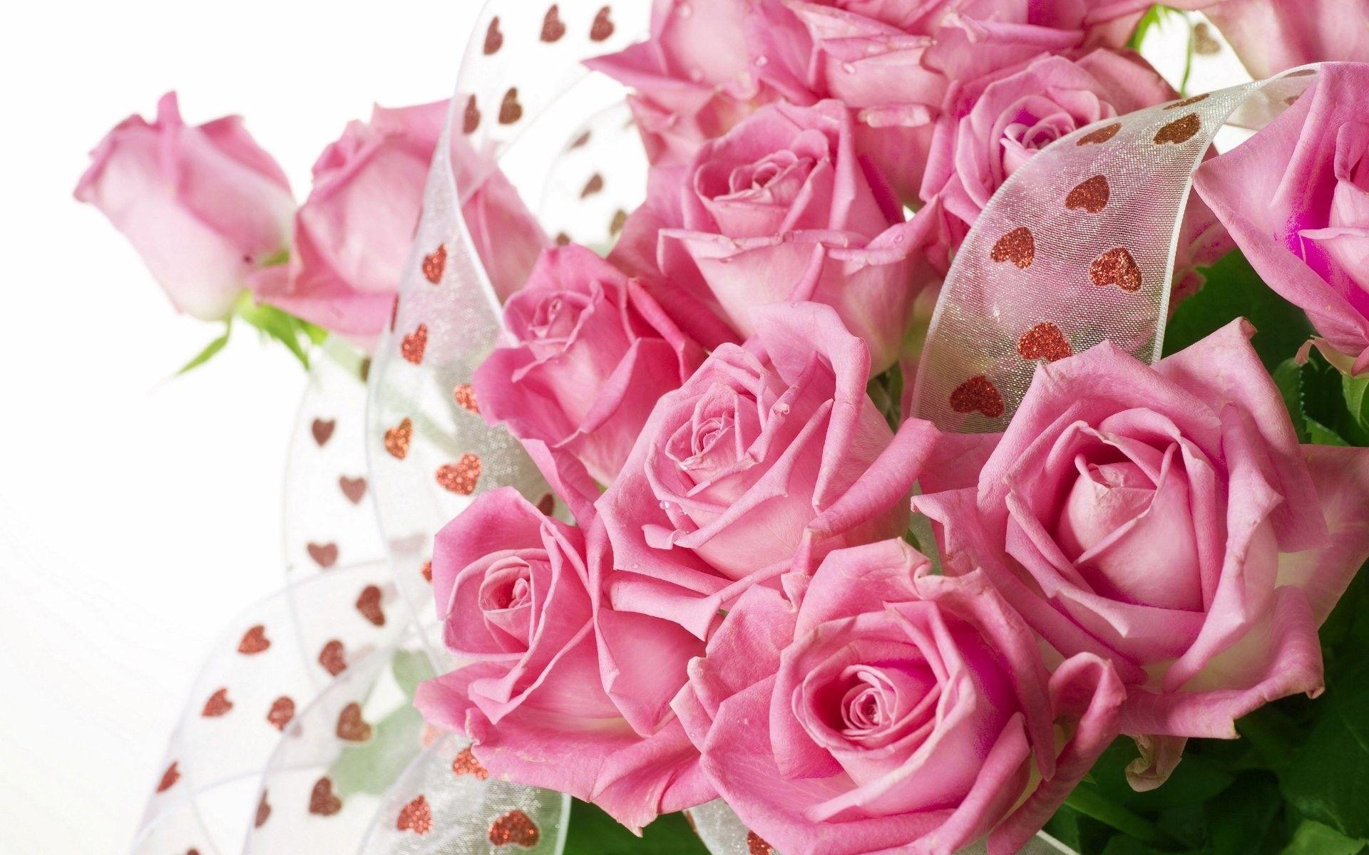 1920x1200 Rose Flowers wallpaper wallpaper Collections