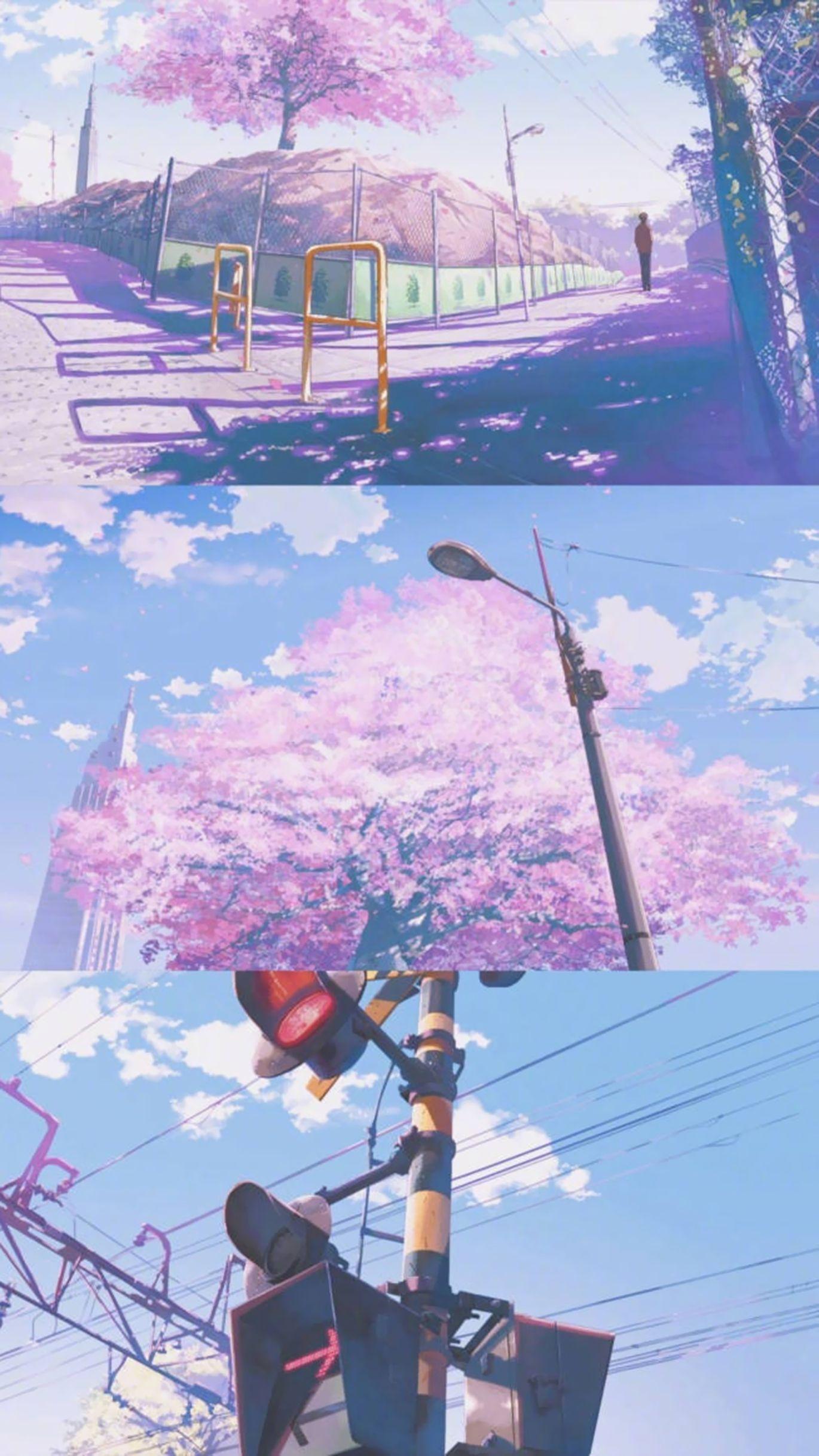 1370x2436 Cherry Blossom Pastel Aesthetic Wallpaper .