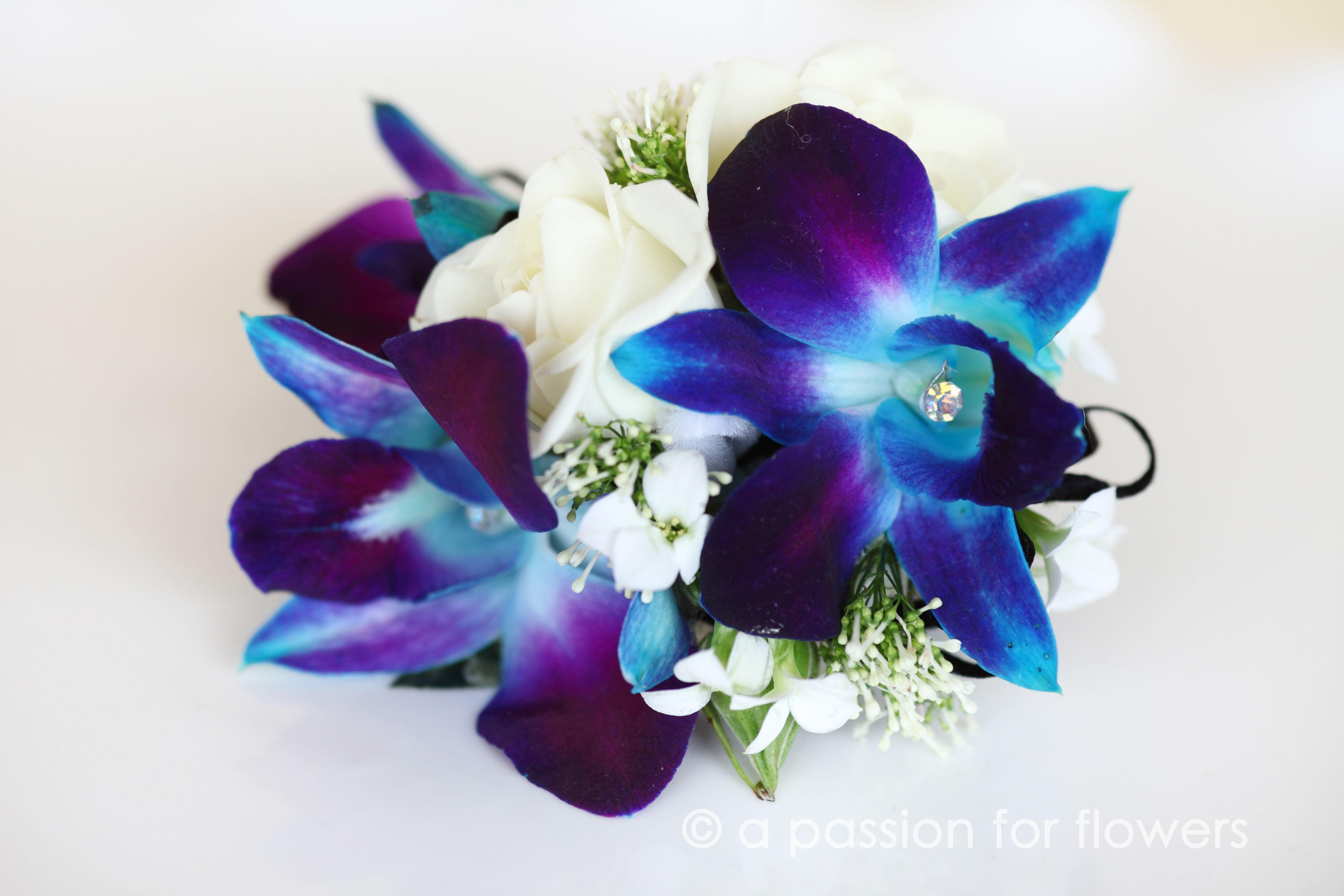 5616x3744 Blue Orchid HD Wallpaper free. Purple orchid wedding, Blue orchids, Blue and purple orchids