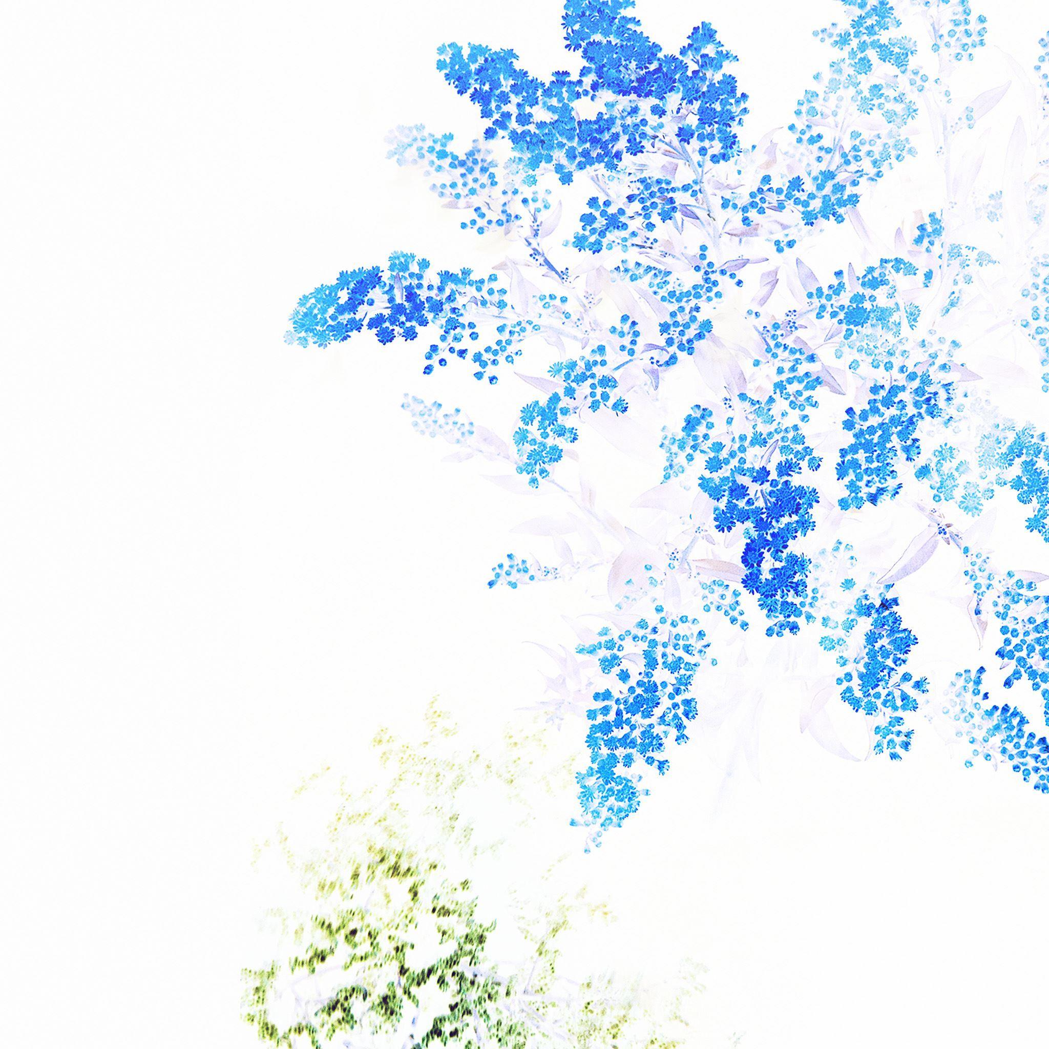 2048x2048 Apple Blue White Flower Ios9 iPad Air Wallpaper Free Download