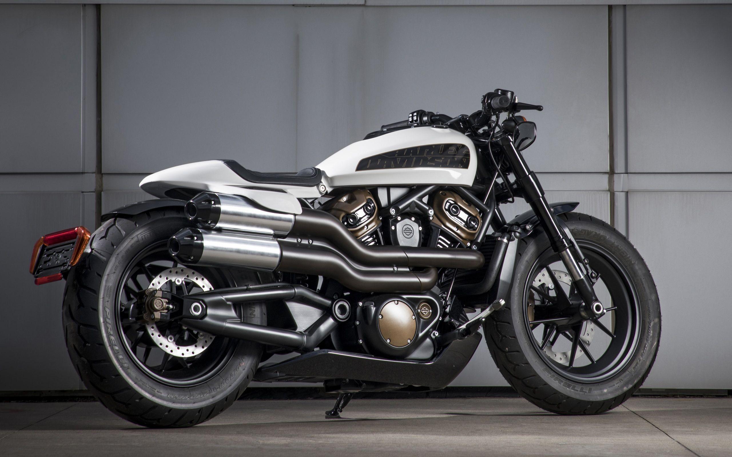 2560x1600 Wallpaper 4k Harley Davidson Custom 1250 2020 2020 bikes wallpaper, 4k- wallpaper, 5k wallpaper, bikes wallpaper, harley davidson wallpaper, hd- wallpaper