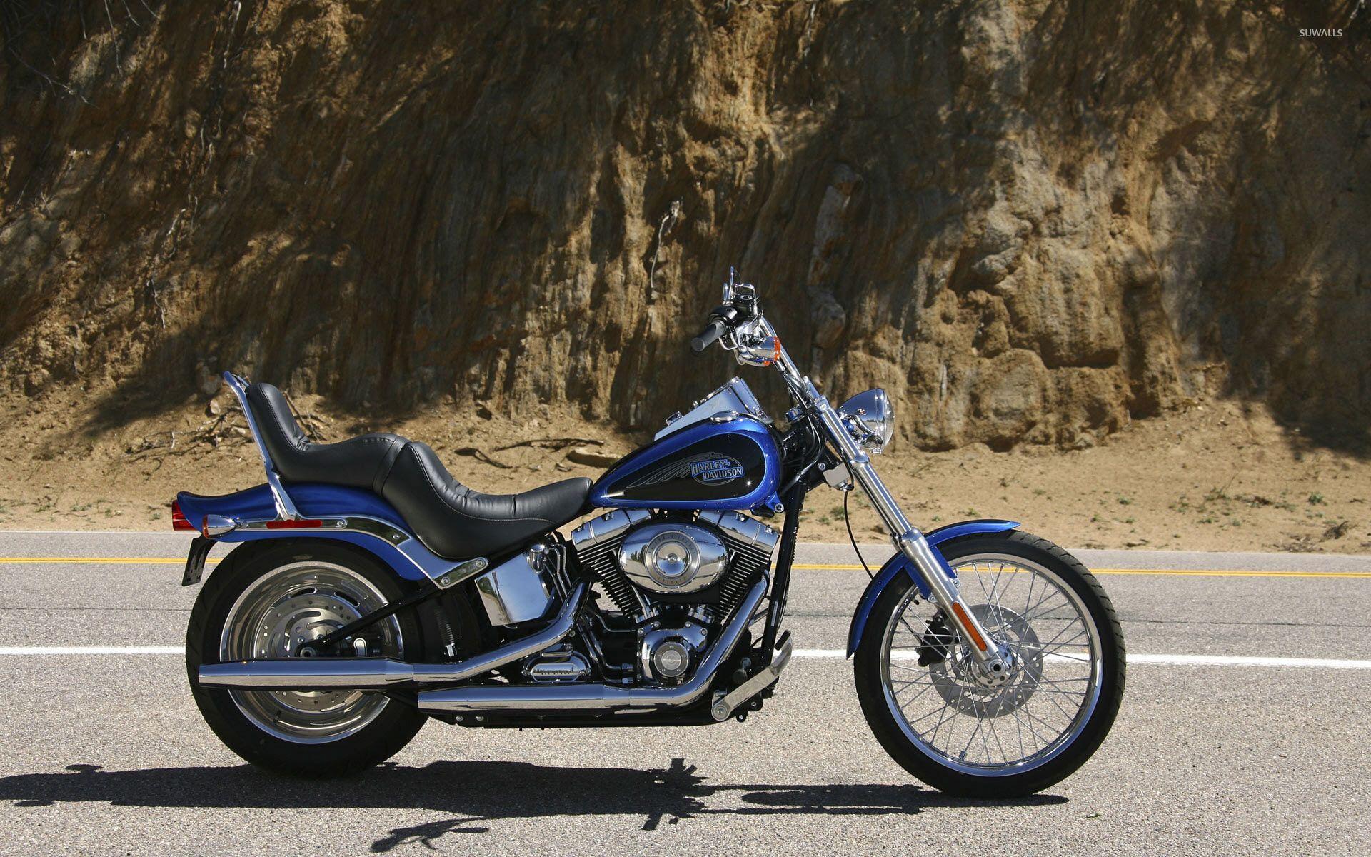 1920x1200 Harley Davidson Softail Custom FXSTC wallpaper wallpaper