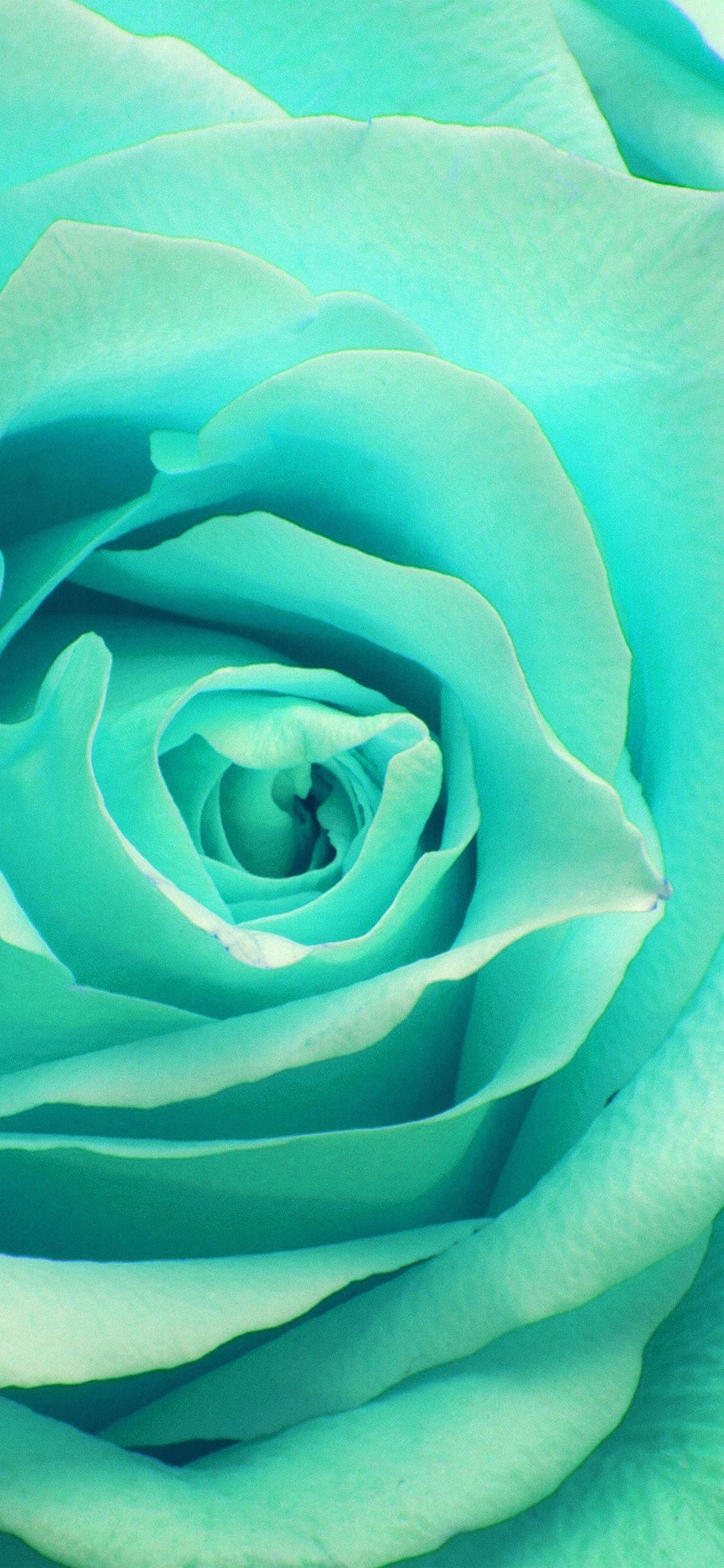 Zoom iPhone Wallpapers Top Free Zoom iPhone Backgrounds WallpaperAccess