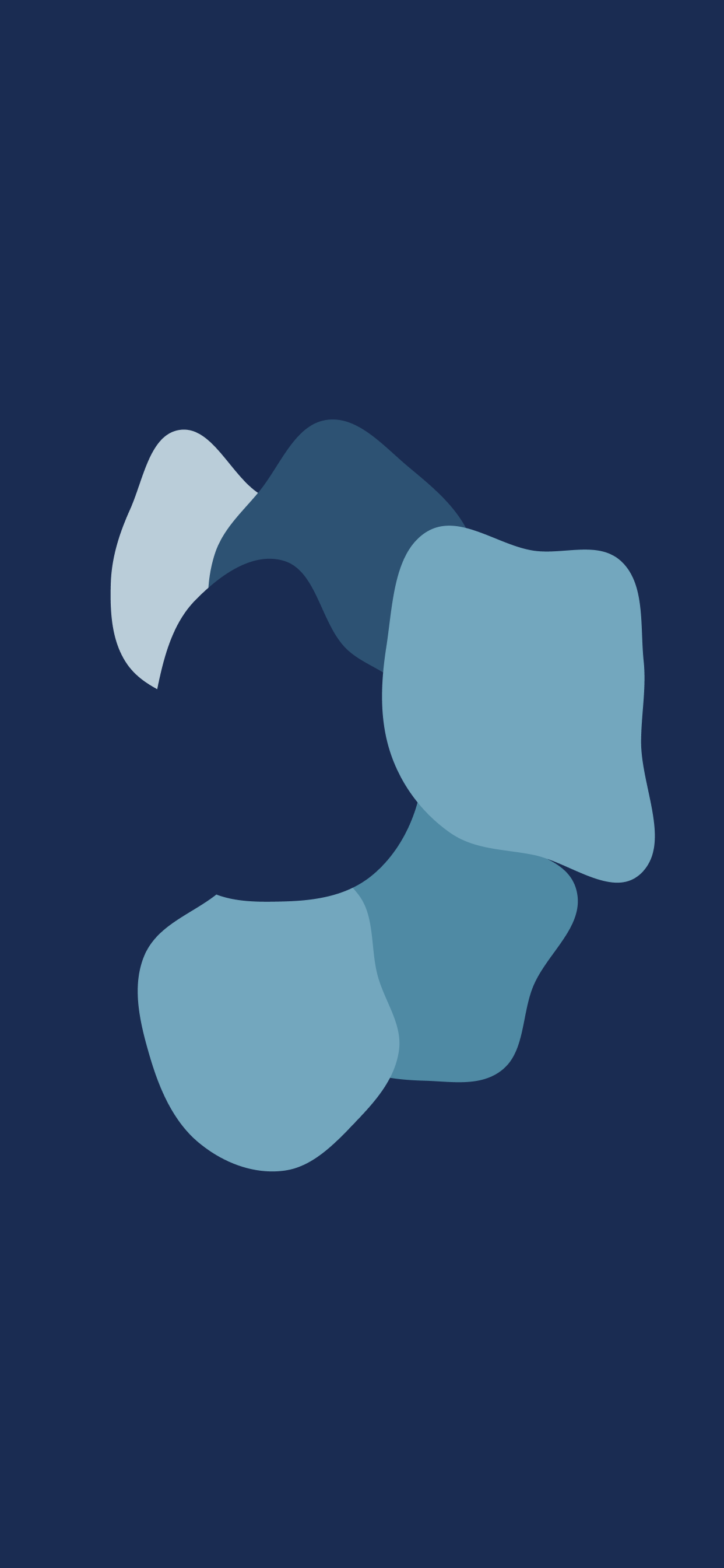 1242x2688 Download Home Screen Wallpaper