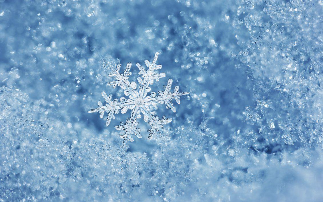 1130x706 Perfect snowflake cold and ice winter wallpaper