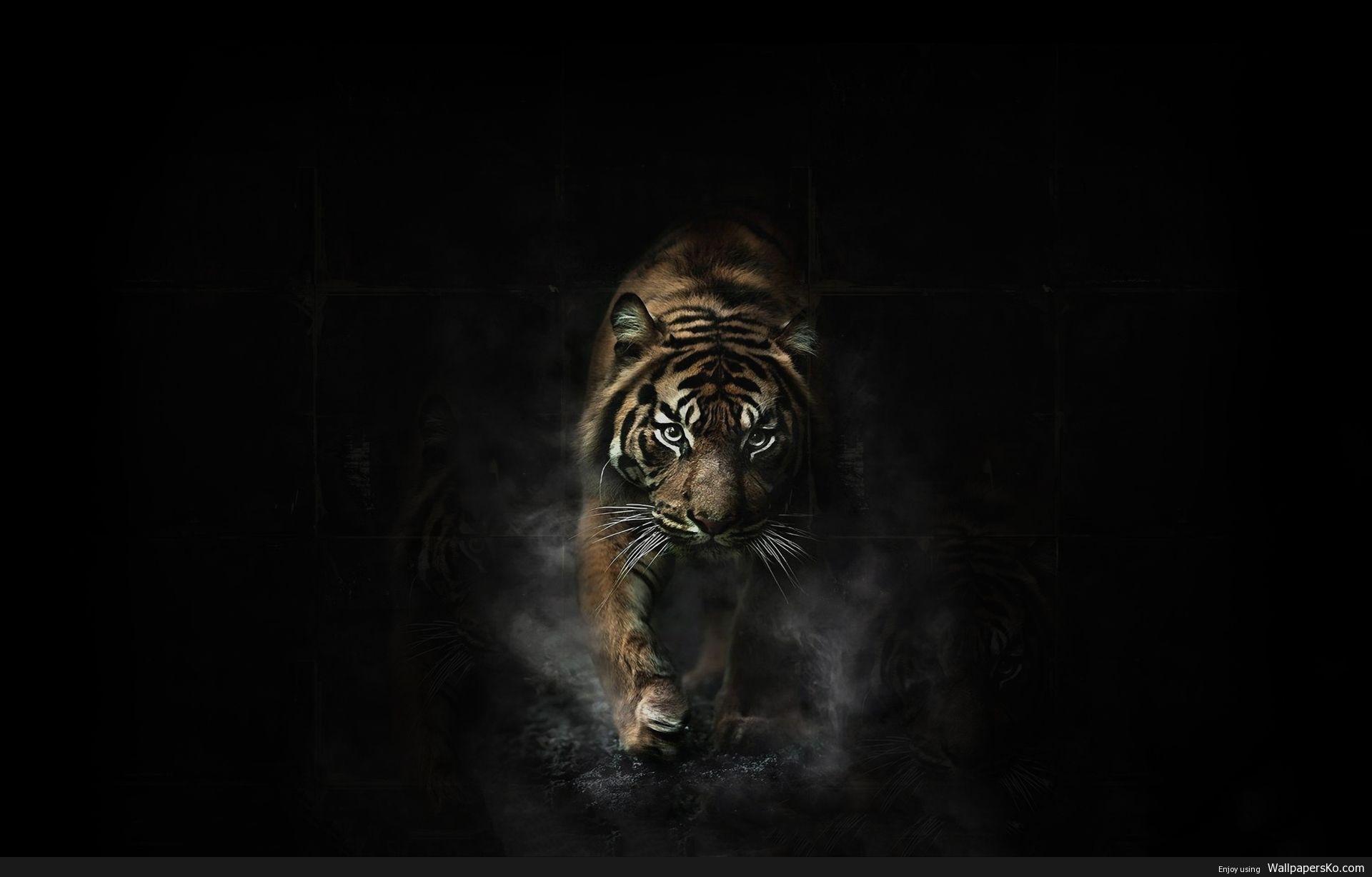 1920x1228 Tiger Art Wallpaper