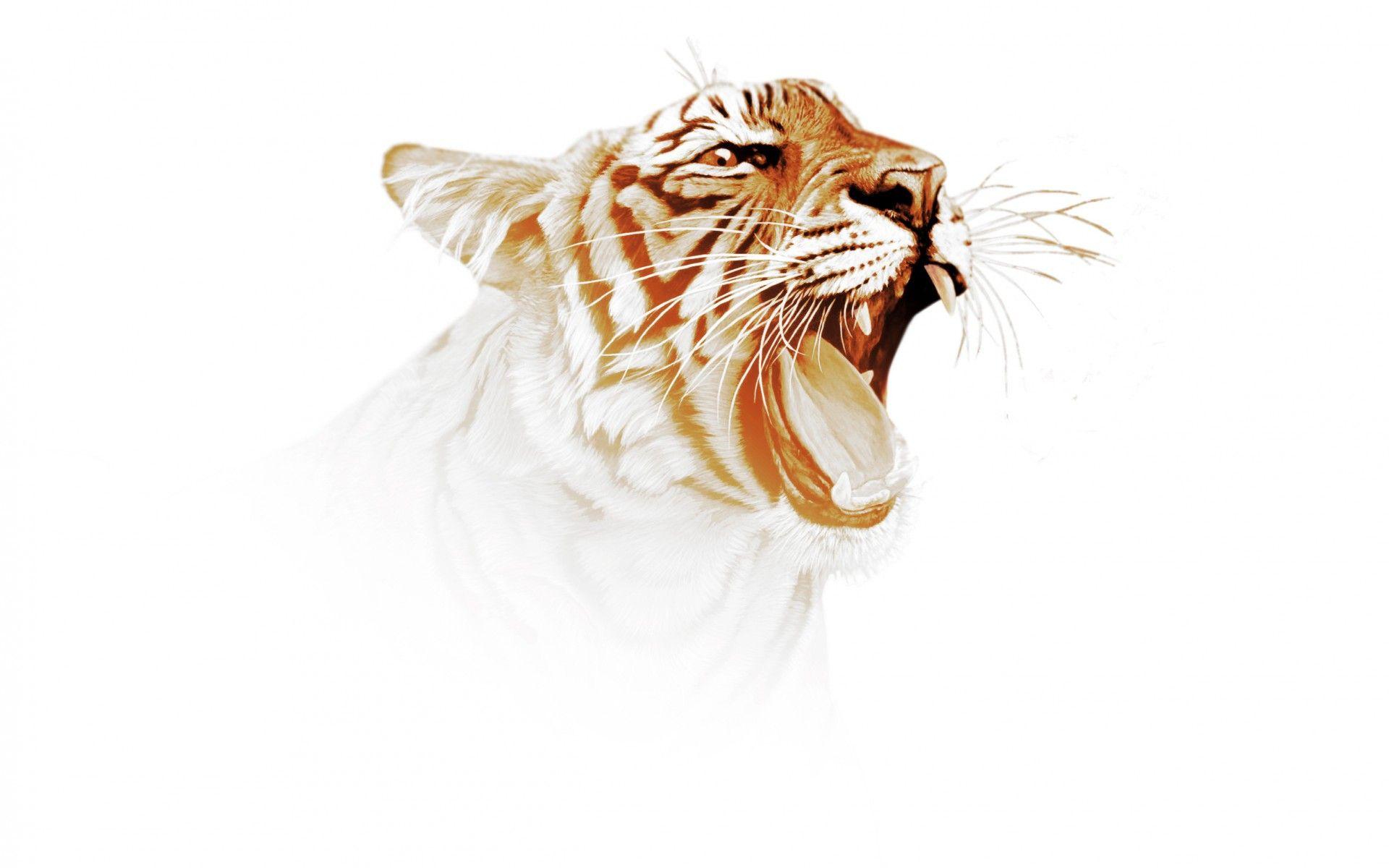 1920x1200 tiger, Predator, Art Wallpaper HD / Desktop and Mobile Background