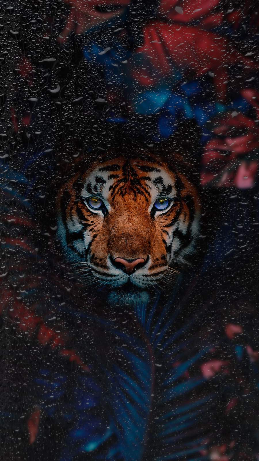 900x1600 Tiger Art iPhone Wallpaper Wallpaper : iPhone Wallpaper