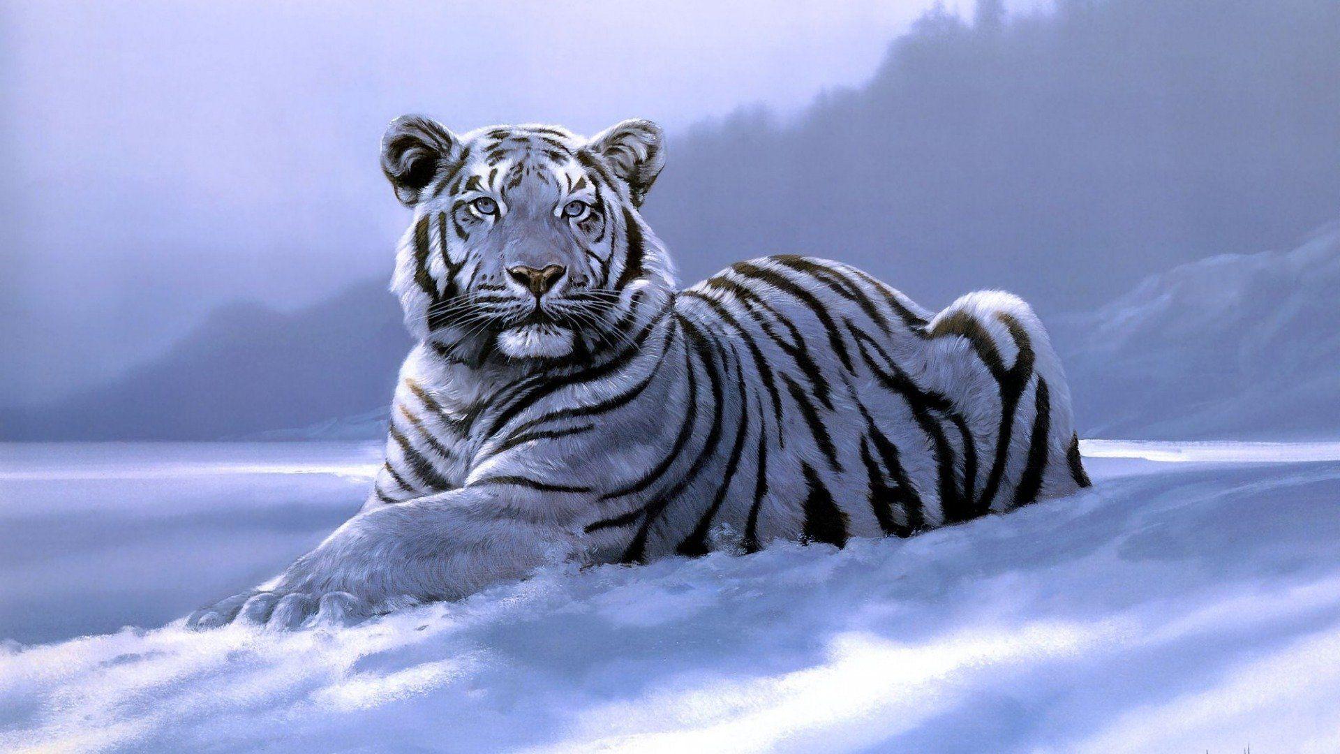 1920x1080 art, Big, Fantasy, Laying, Photo, Siberian, Tiger, Snow, White, Tigers, Wild, Cat, Winter, Wintertime Wallpaper HD / Desktop and Mobile Background