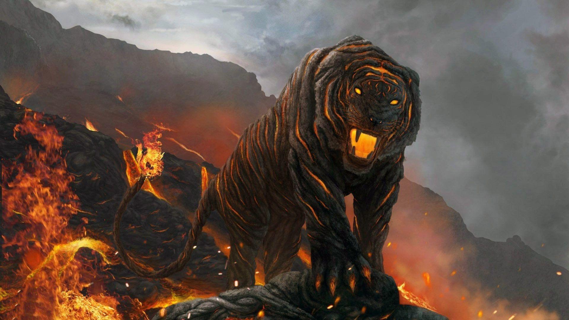 1920x1080 Full HD Lion And Tiger Wallpaper