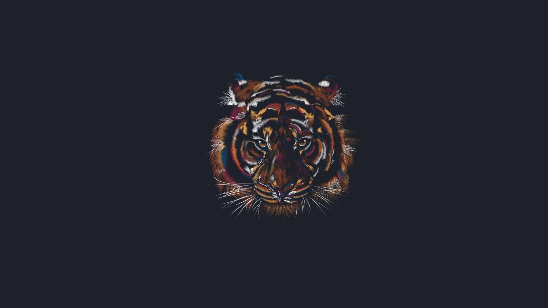 1920x1080 Artistic Minimalist Tiger Wallpaper:1920x1080