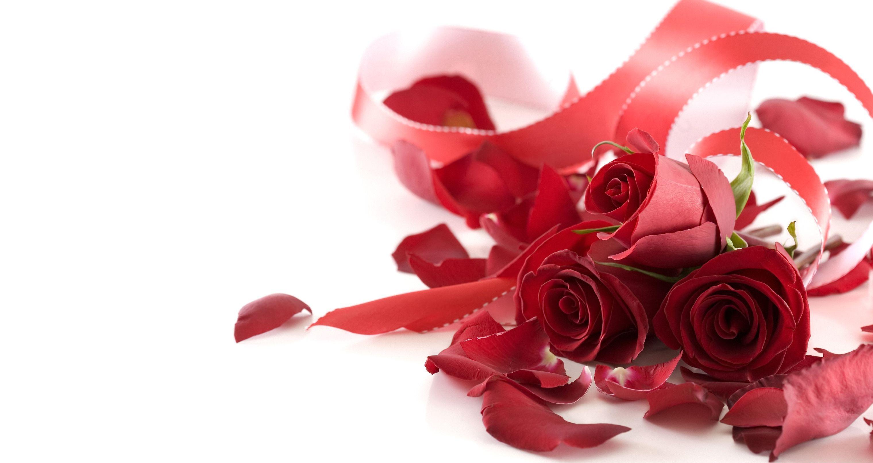 3039x1613 Wedding Background Wallpaper