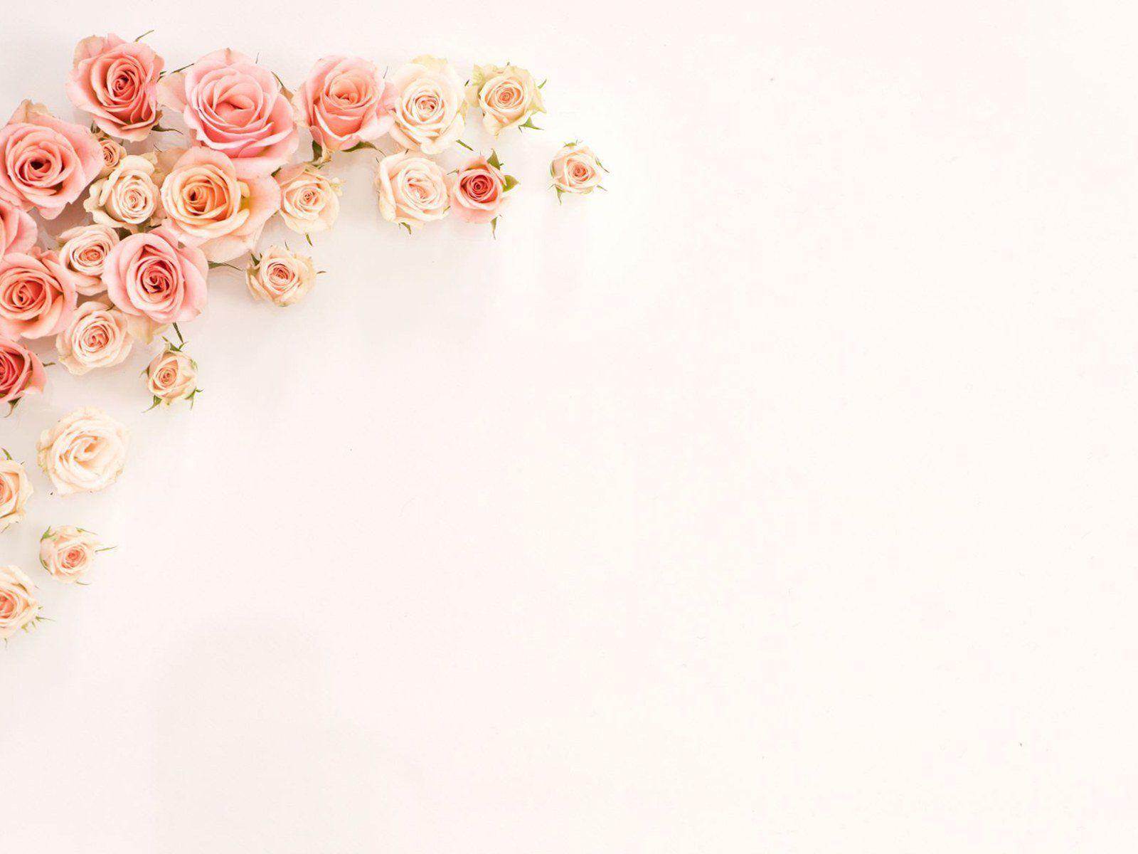 Rose Gold Flowers Wallpapers Top Free Rose Gold Flowers Backgrounds WallpaperAccess