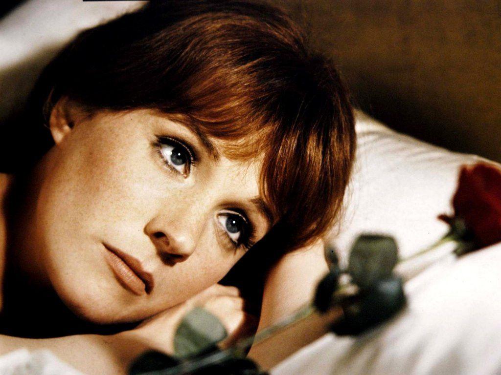 1024x768 Julie Andrews wallpaper