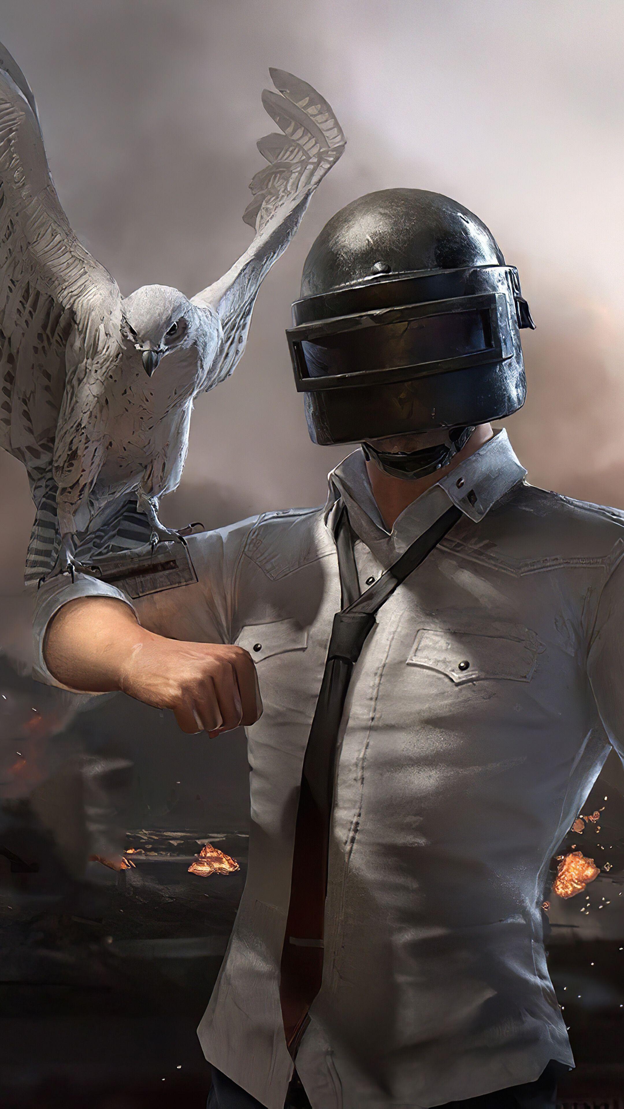 2160x3840 PUBG, Mobile, Falcon, 4K phone HD Wallpaper, Image, Background, Photo and Picture HD Wallpaper
