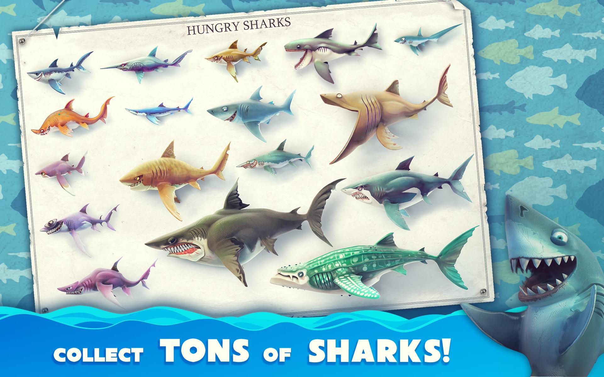 Hungry shark world. Акулы из hungry Shark World. Китовая акула Хангри Шарк. Белая акула из Хангри Шарк ворлд. Hungry Shark дельфины.