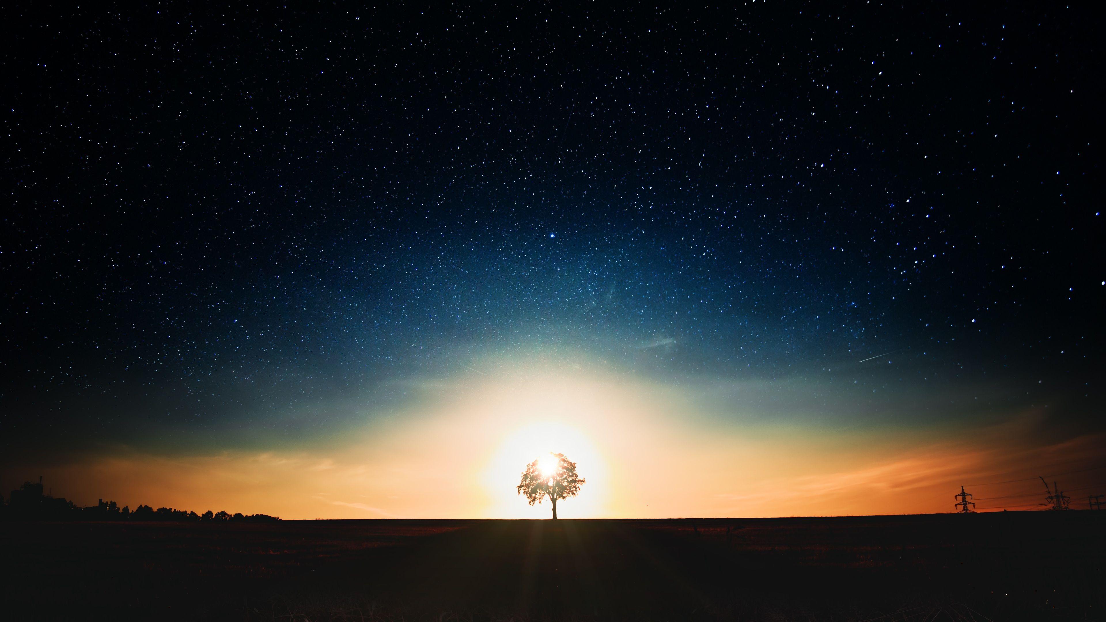 3840x2160 Wallpaper 4k Tree Dark Landscape 4k Wallpaper