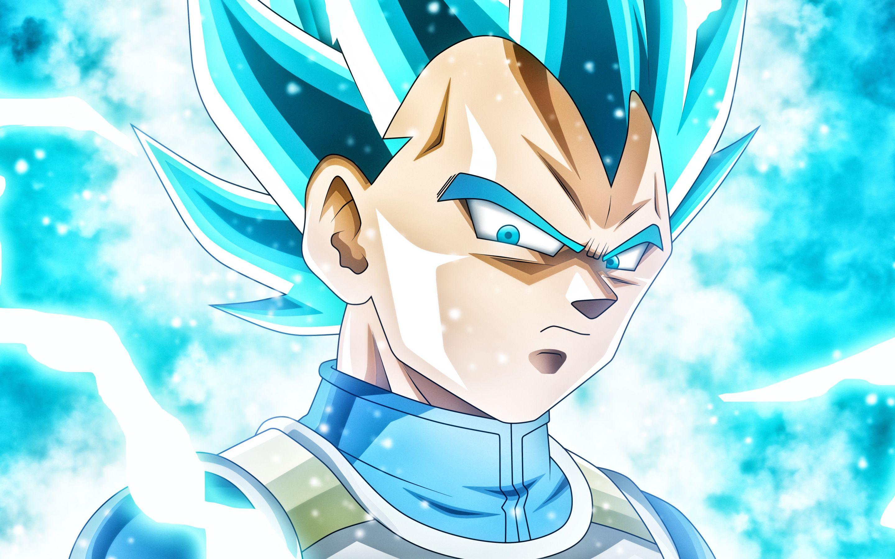 2880x1800 DBZ Vegeta Wallpaper 4K .