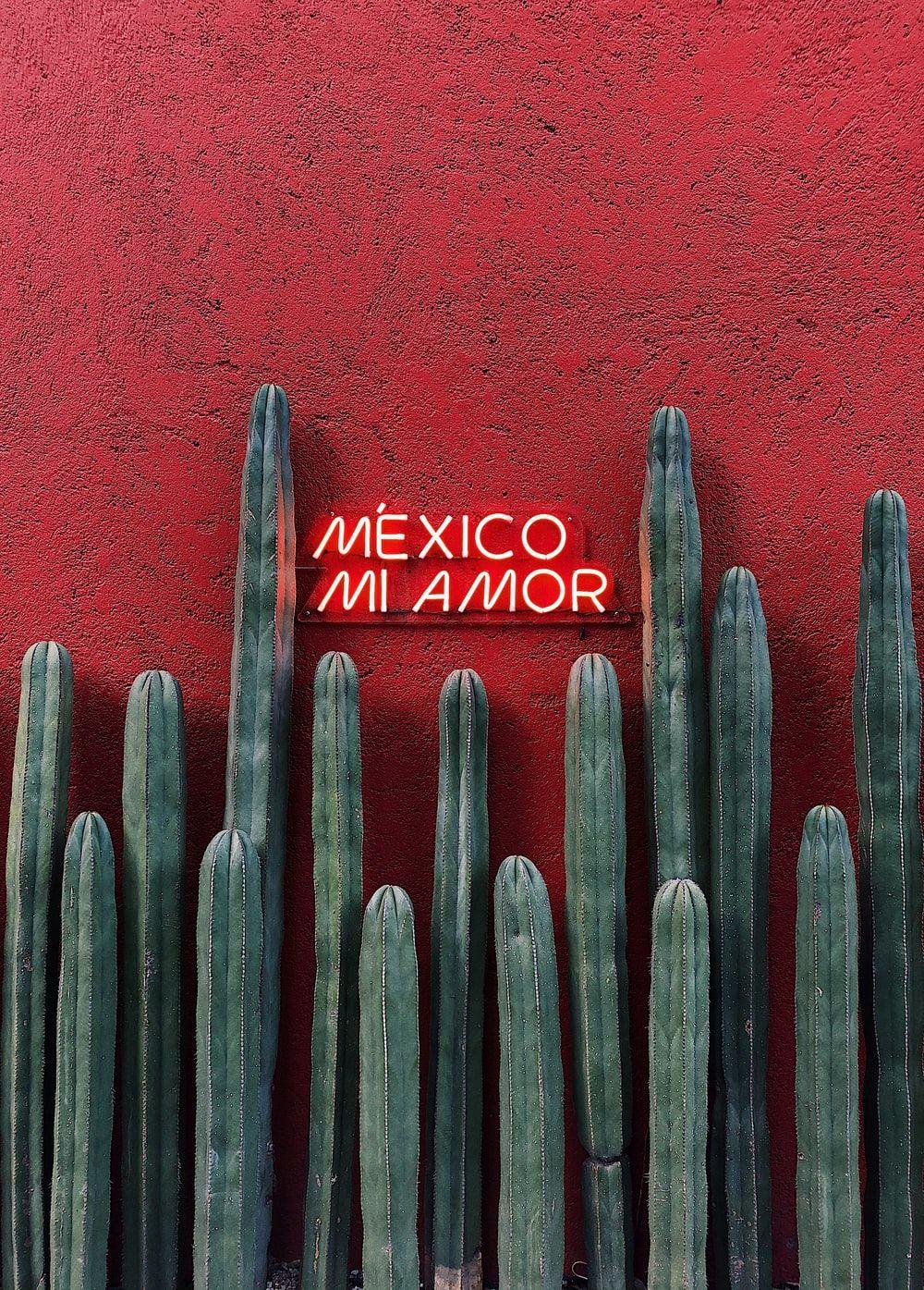 1000x1395 Stunning Mexico Picture [Scenic Travel Photo]. Download Free Image