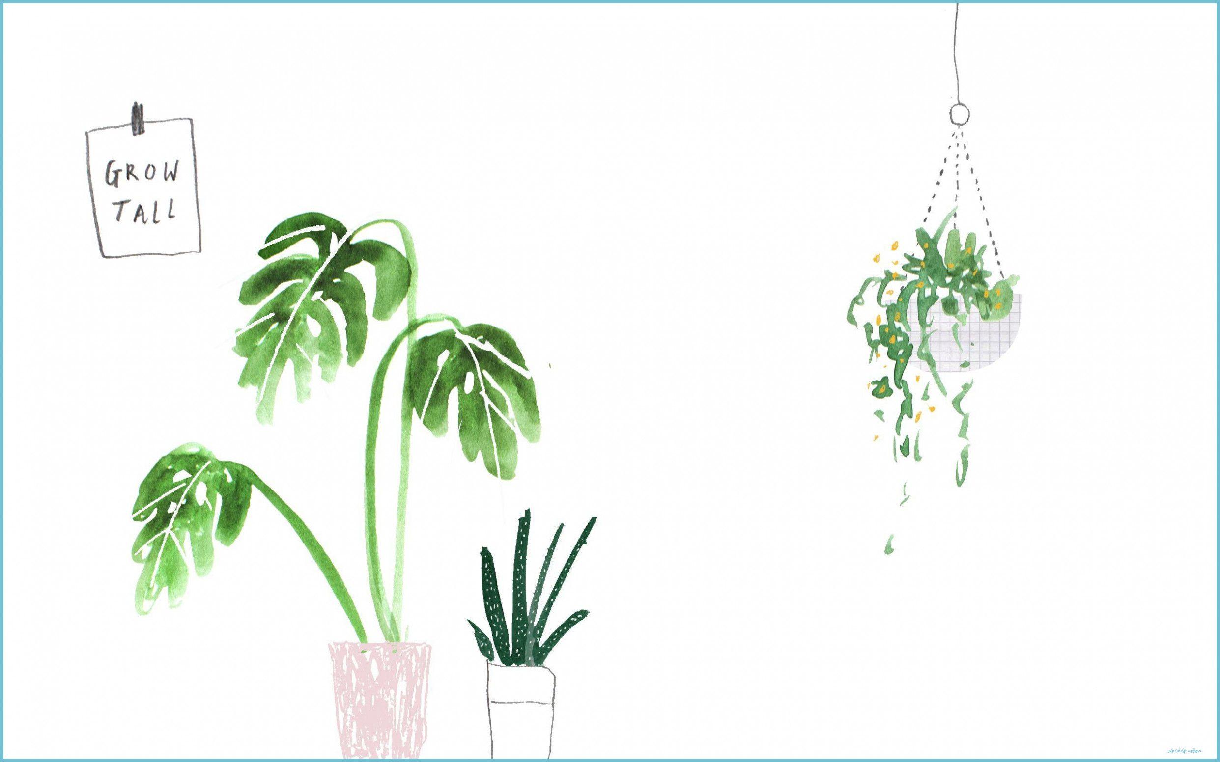2483x1552 Cute Plant Computer Wallpaper Desktop Wallpaper