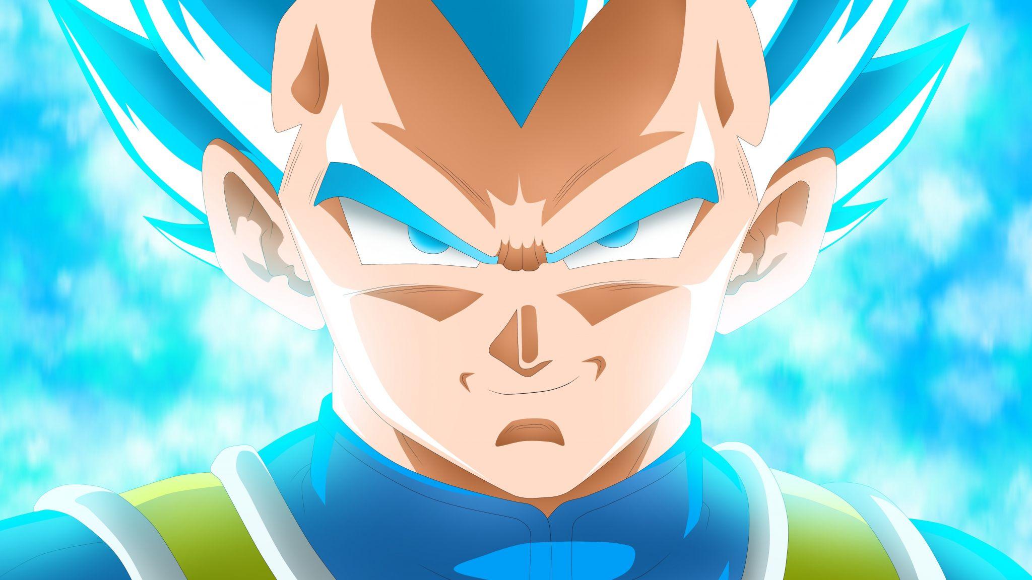 2048x1152 Download 2048x1152 wallpaper vegeta, dragon ball super, smirk, dual wide, widescreen, 2048x1152 HD image, background, 6348