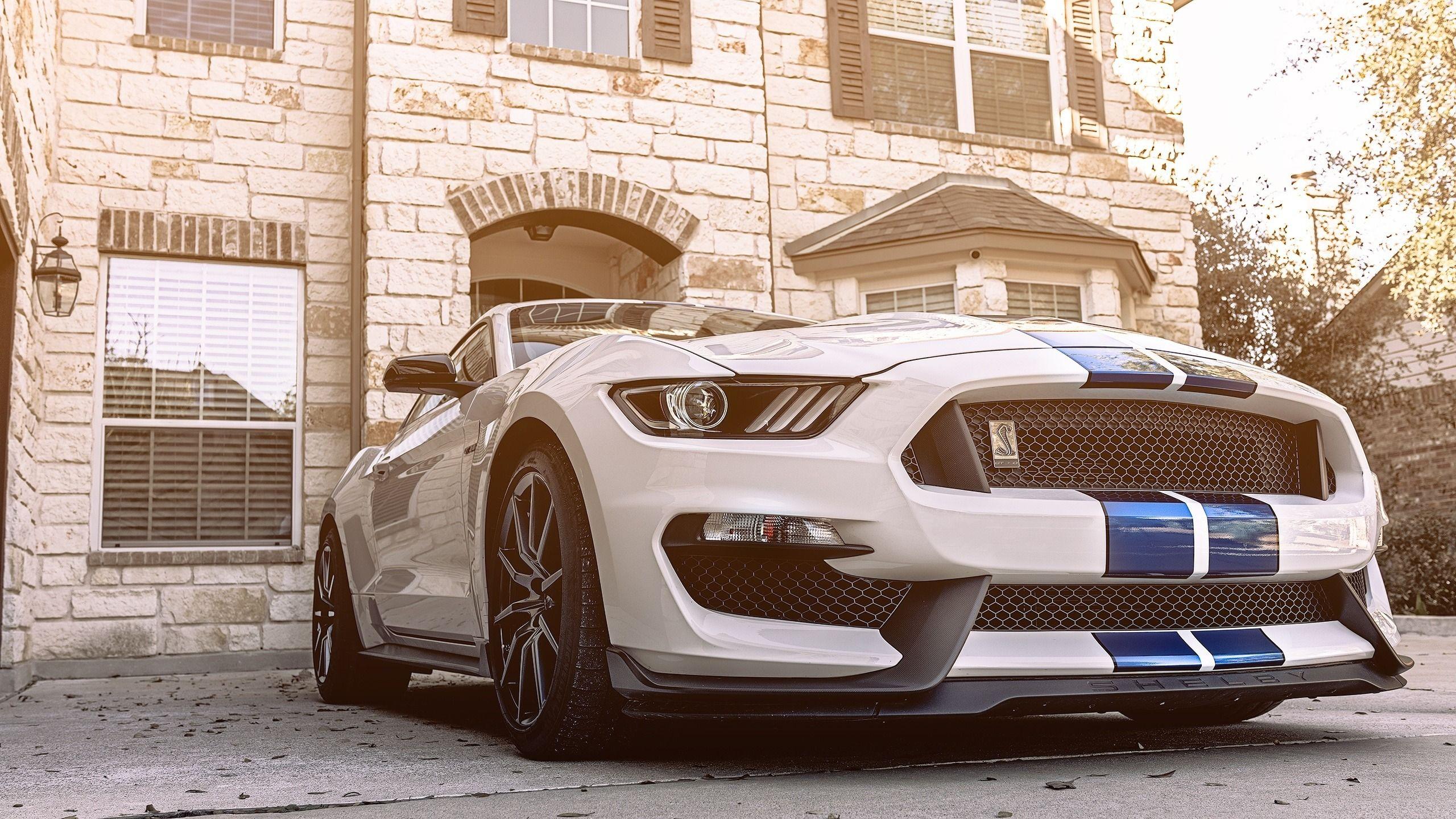 2560x1440 Download 2560x1440 wallpaper 2018 ford mustang shelby gt sports car, dual wide, widescreen 16: widescreen, 2560x1440 HD image, background, 2548