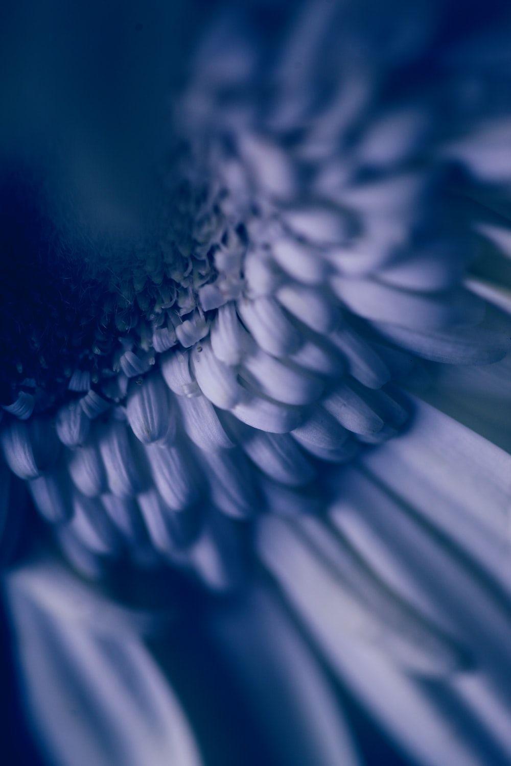 1000x1500 Lucid Dream Picture. Download Free Image