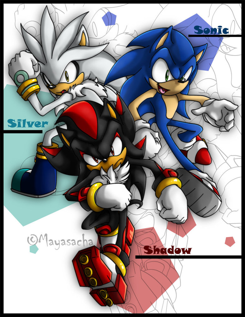 785x1018 Sonic Shadow Silver .