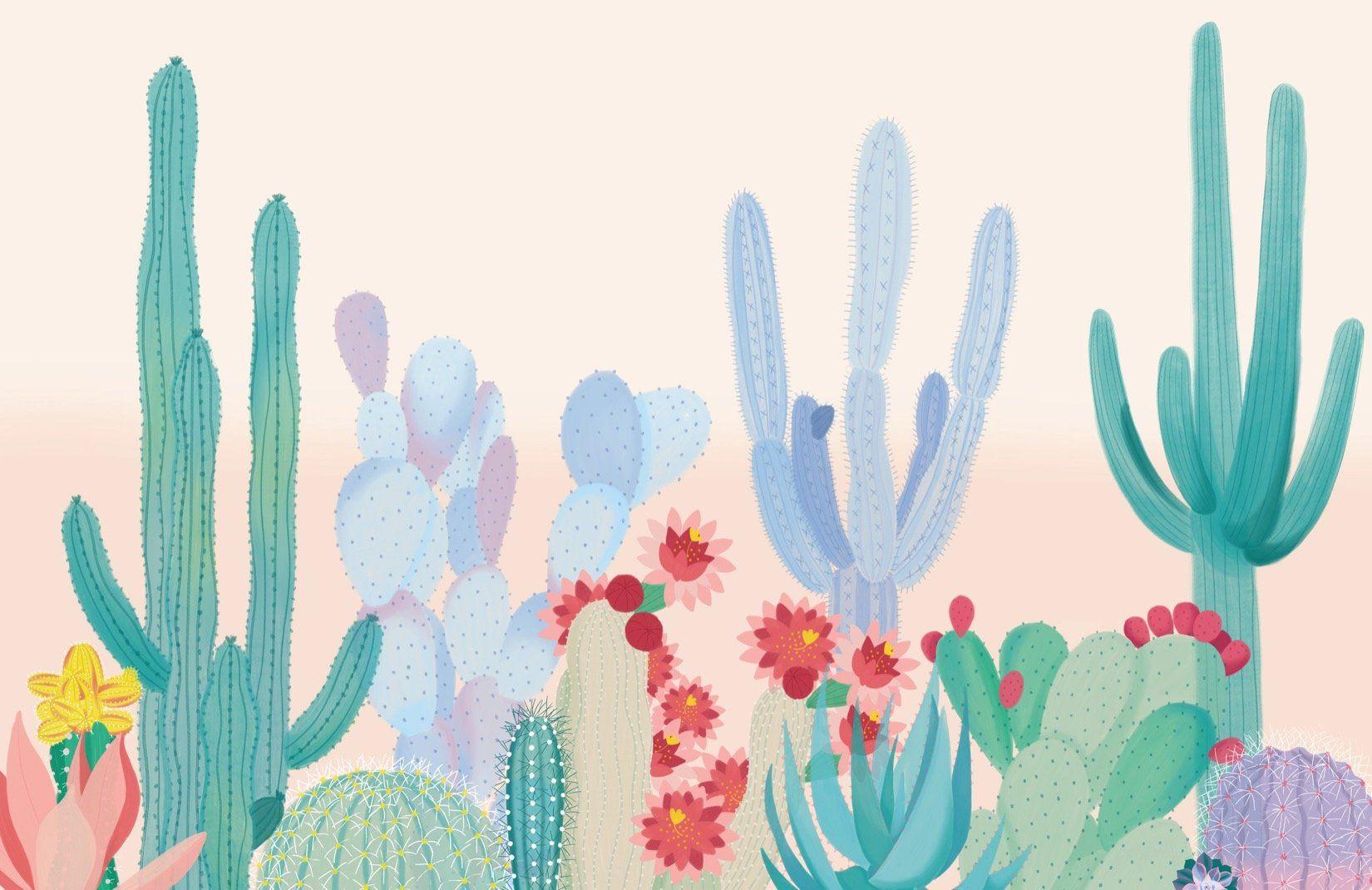 1650x1070 Cute Colorful Cactus Wallpaper Mural