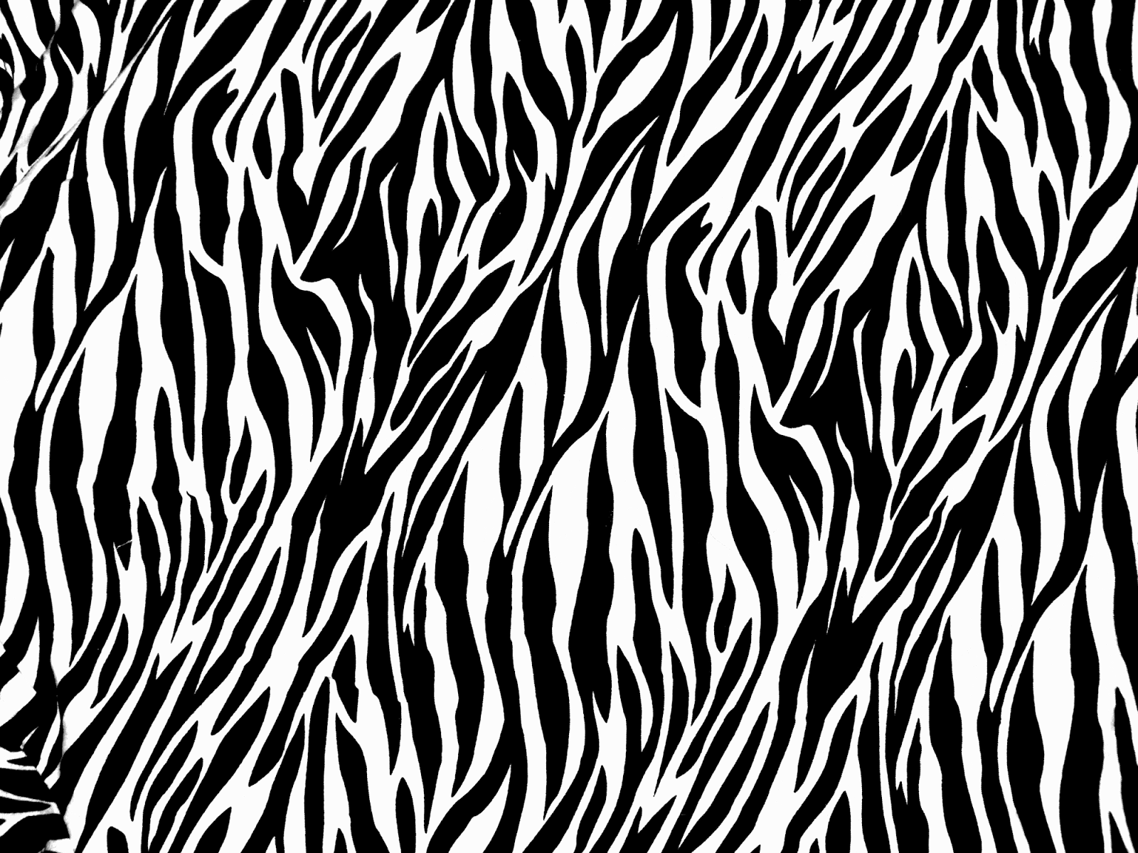 Black and White Animal Print Wallpapers - Top Free Black and White ...