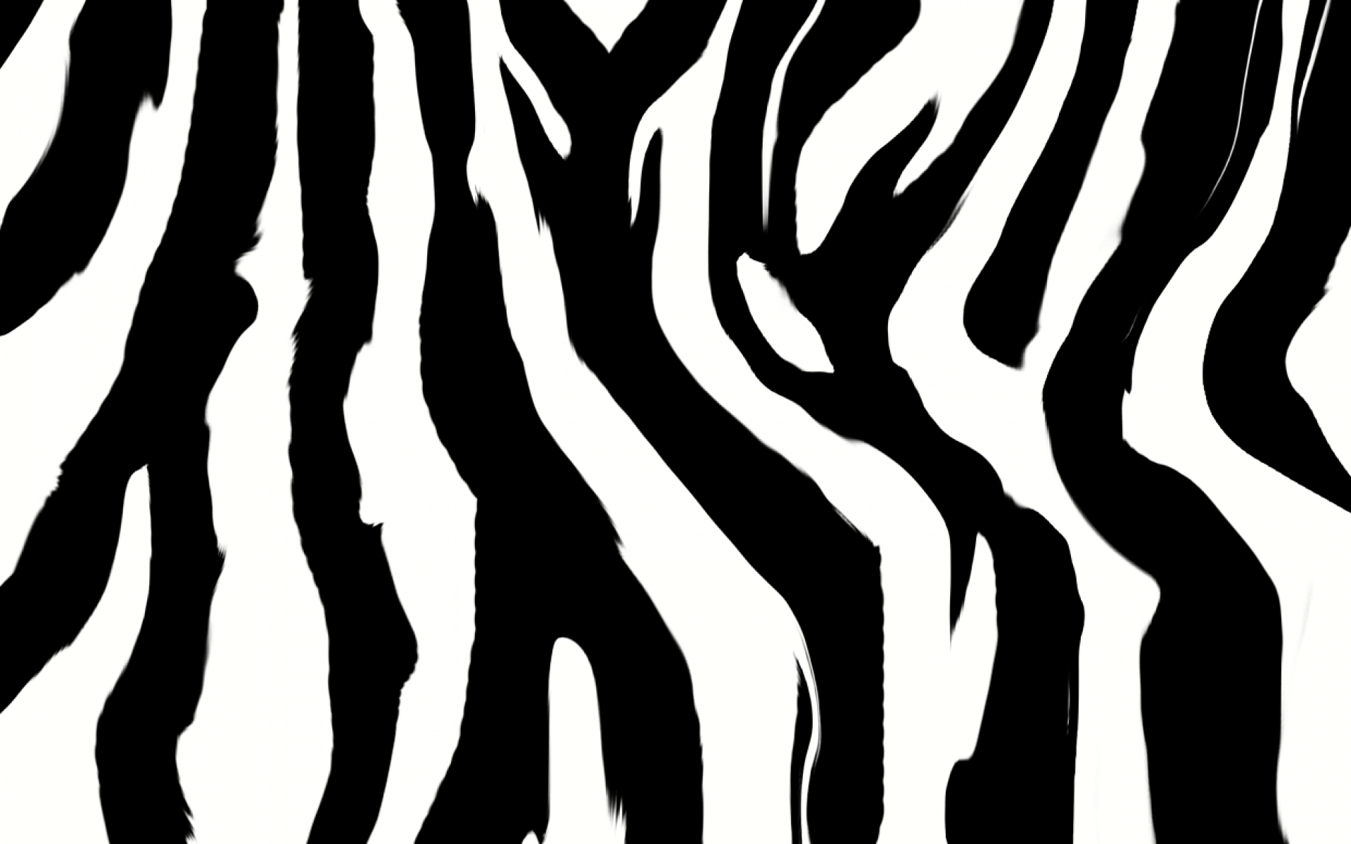 1920x1200 Black Zebra Print Wallpaper
